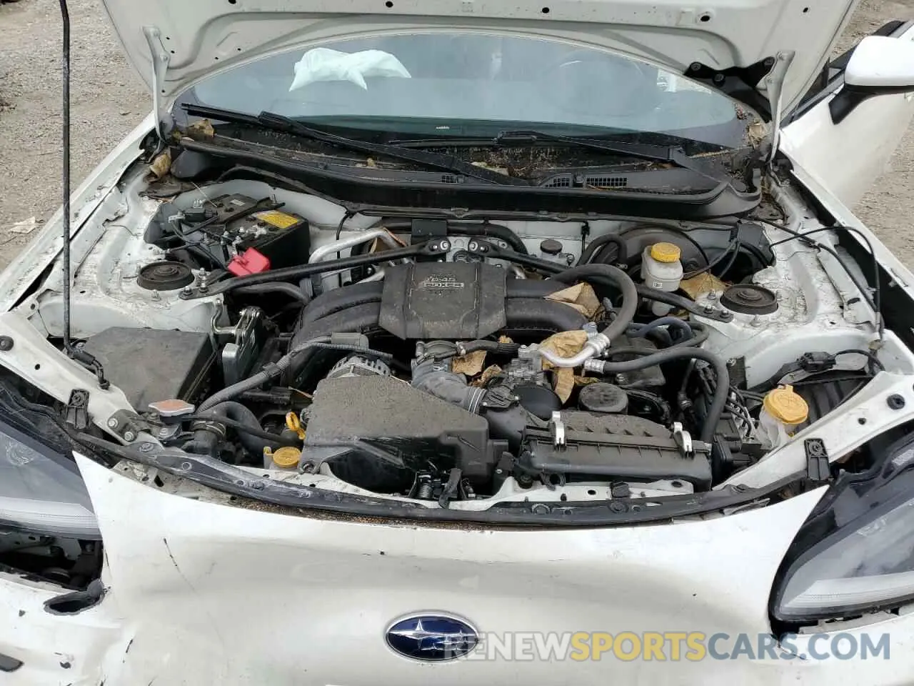 11 Photograph of a damaged car JF1ZDBE16P9704398 SUBARU BRZ 2023