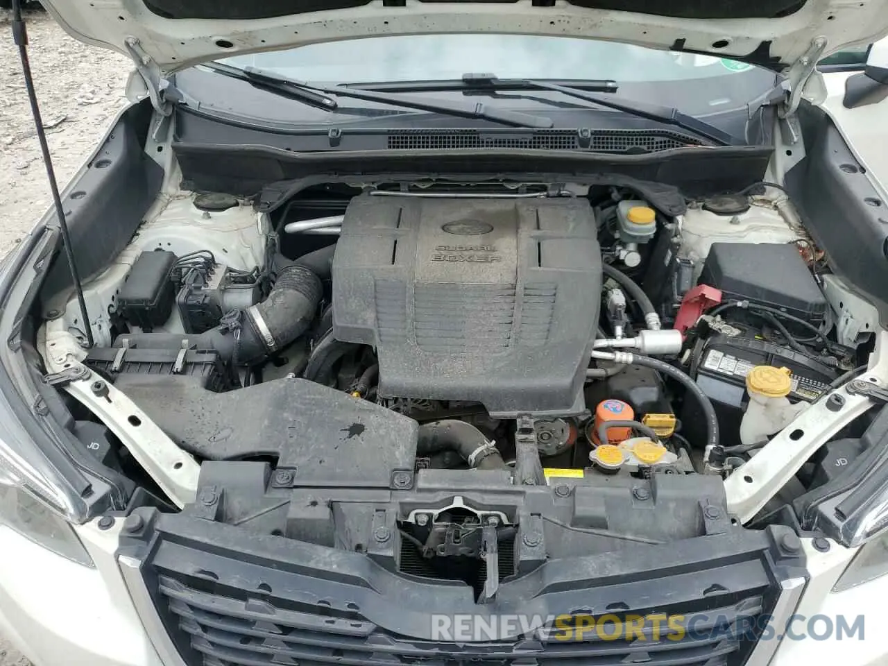 12 Photograph of a damaged car JF2SKAECXKH487418 SUBARU FORESTER 2019
