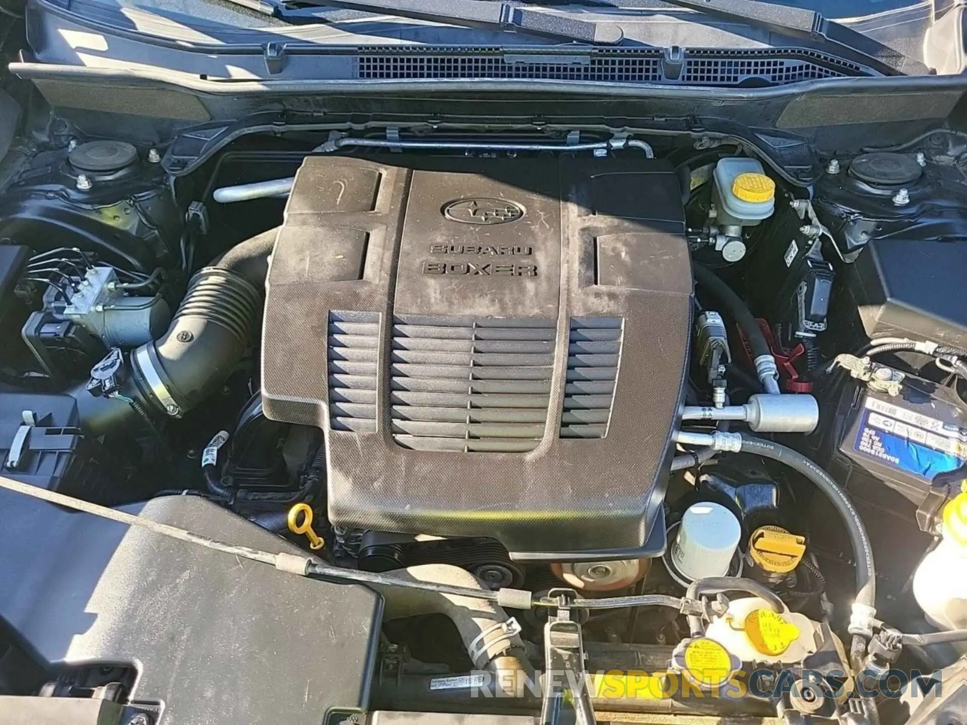 1 Photograph of a damaged car JF2SKAGC5KH566542 SUBARU FORESTER 2019