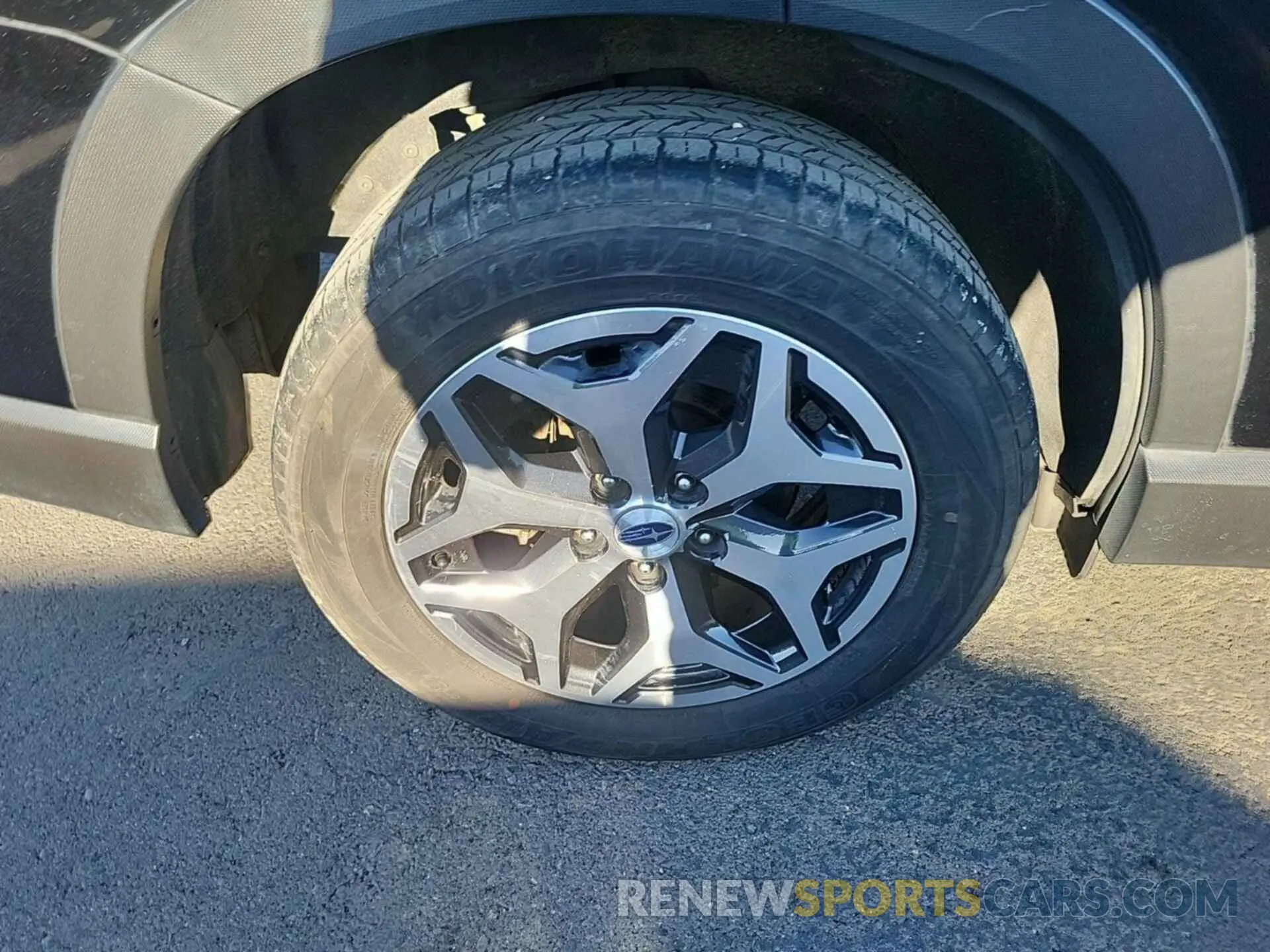 31 Photograph of a damaged car JF2SKAGC5KH566542 SUBARU FORESTER 2019