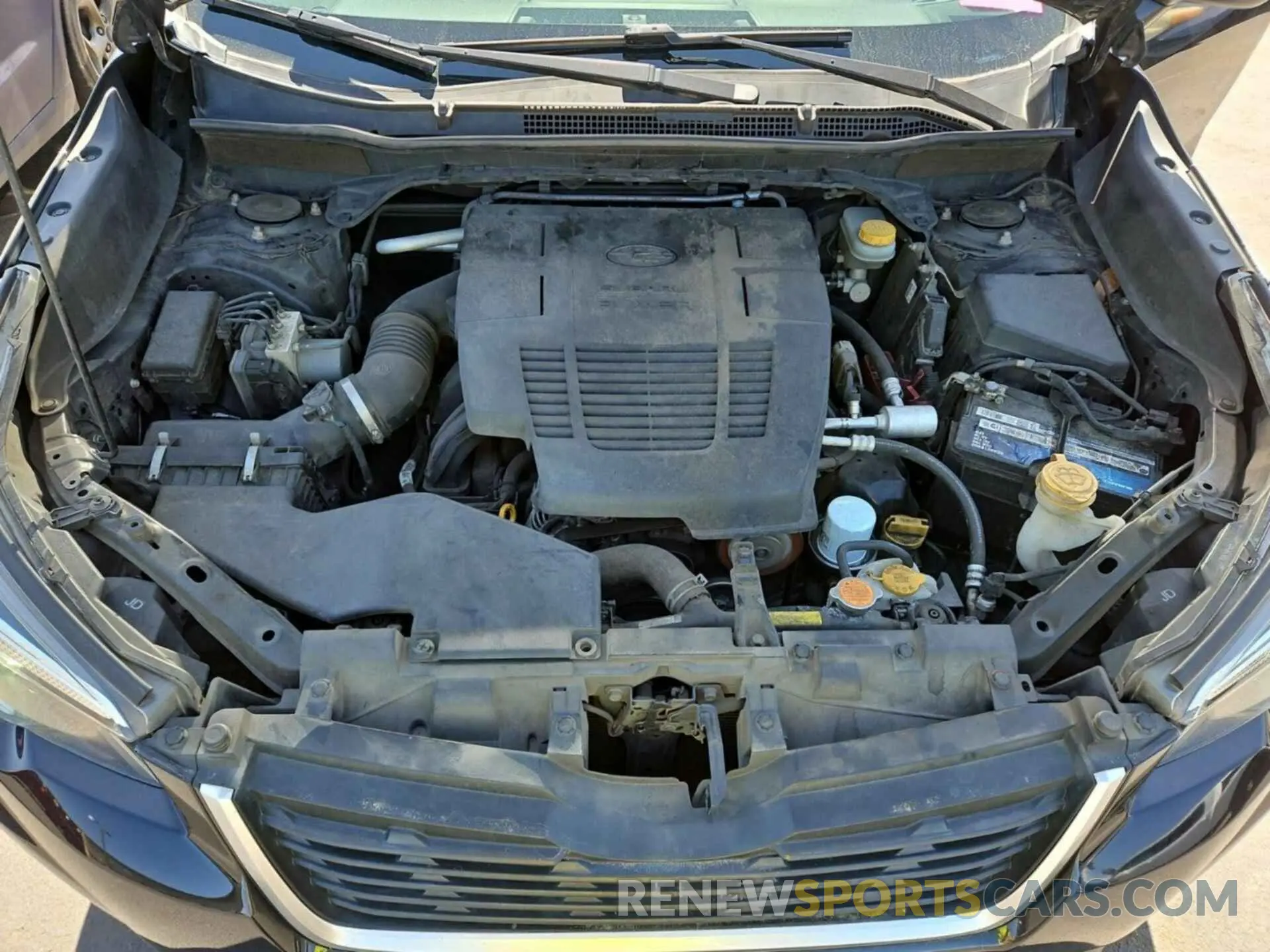 7 Photograph of a damaged car JF2SKAGC5KH566542 SUBARU FORESTER 2019