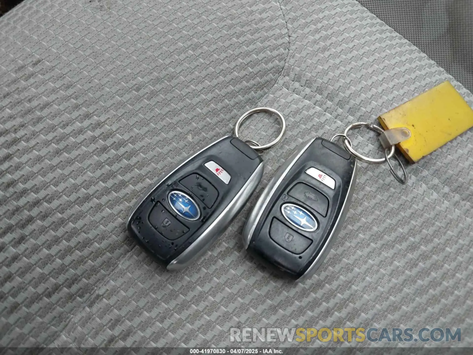 11 Photograph of a damaged car JF2SKAGC9KH488279 SUBARU FORESTER 2019