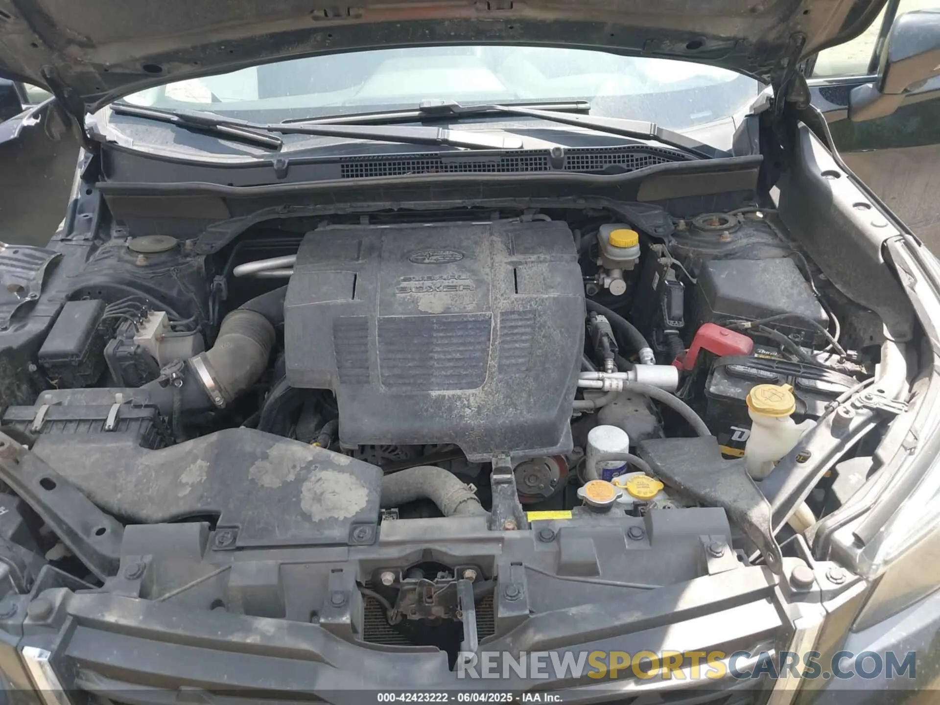 10 Photograph of a damaged car JF2SKASC2KH586867 SUBARU FORESTER 2019