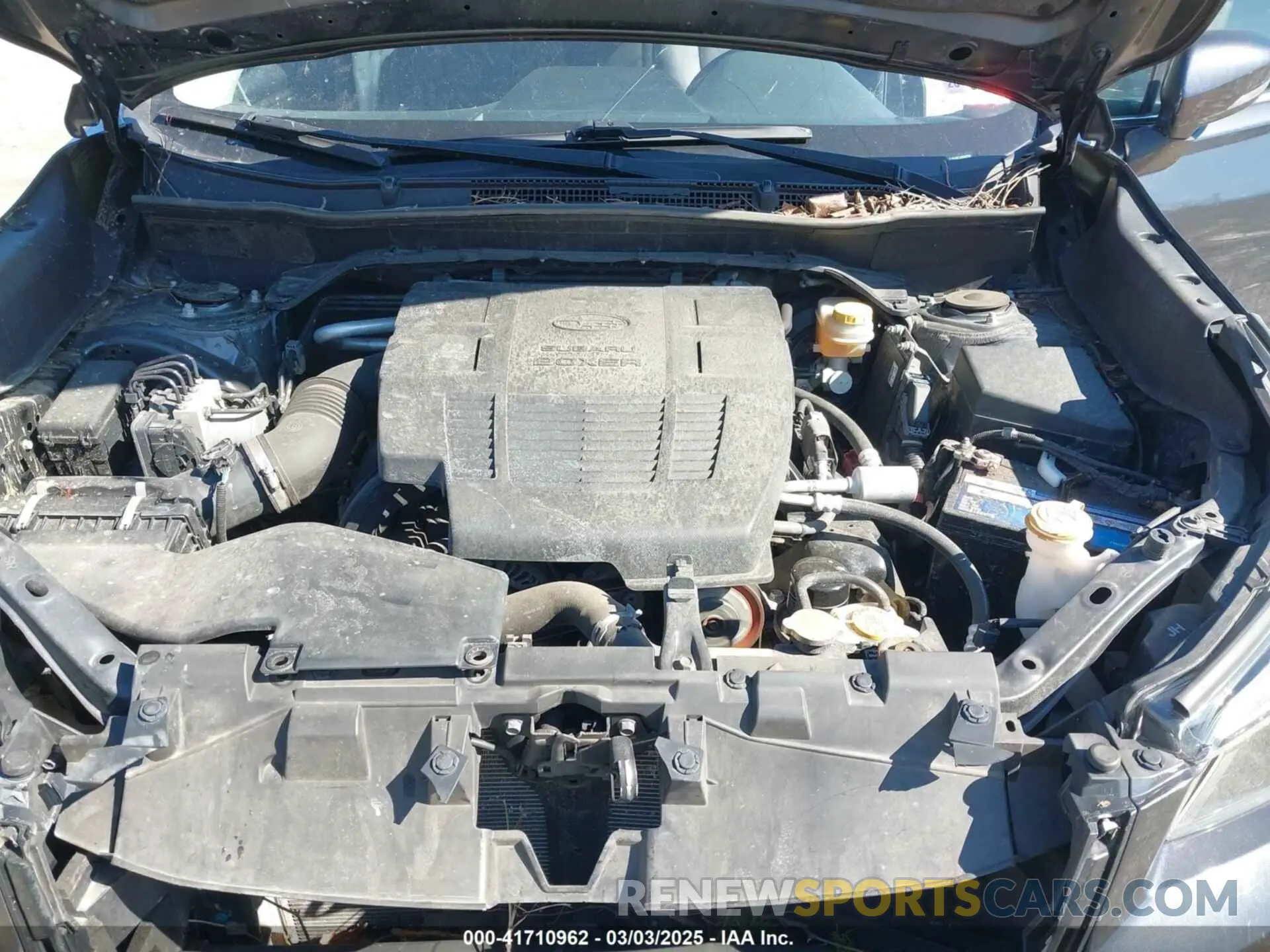 10 Photograph of a damaged car JF2SKAUC1KH583794 SUBARU FORESTER 2019