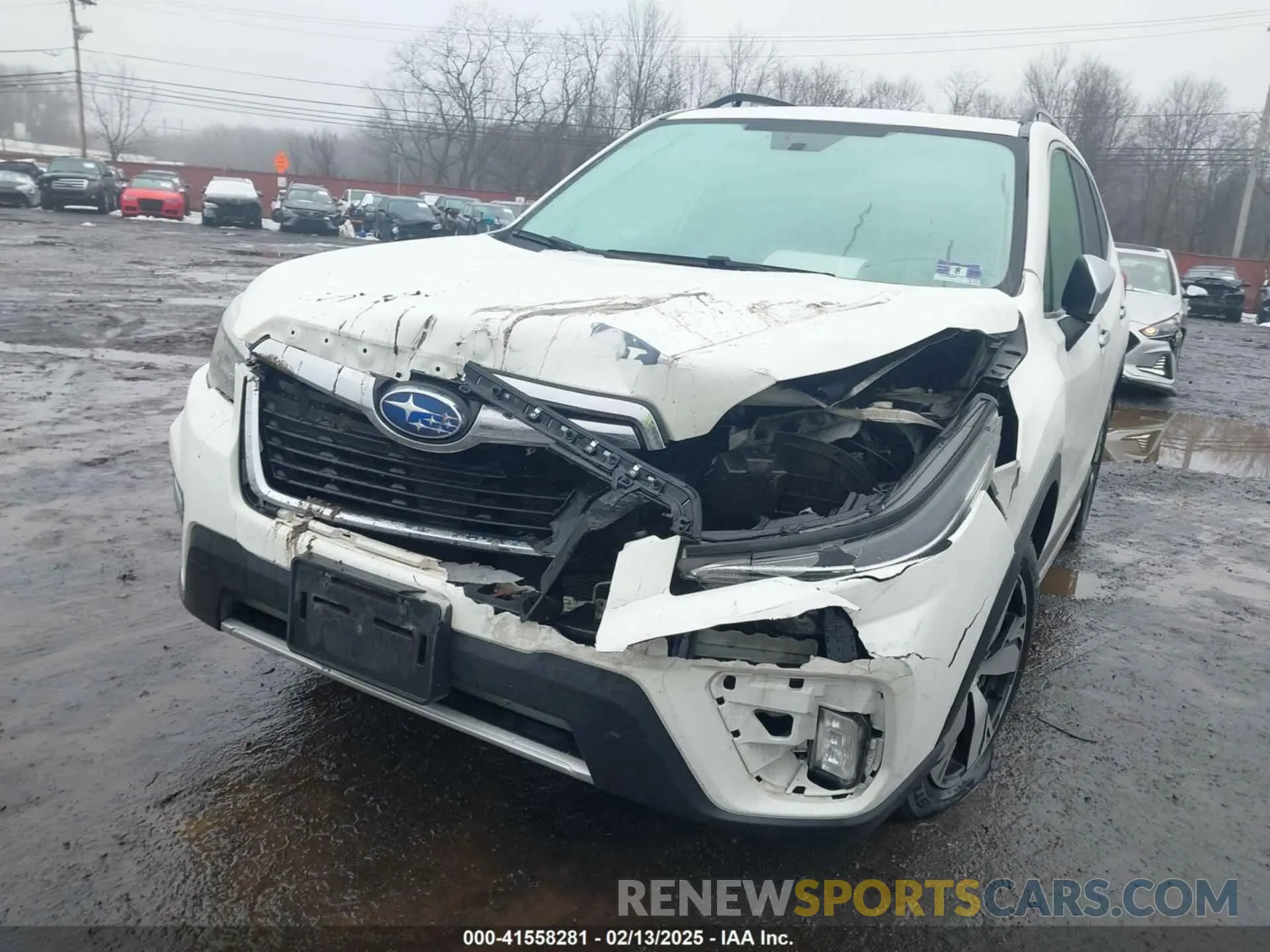 6 Photograph of a damaged car JF2SKAWC3KH555900 SUBARU FORESTER 2019