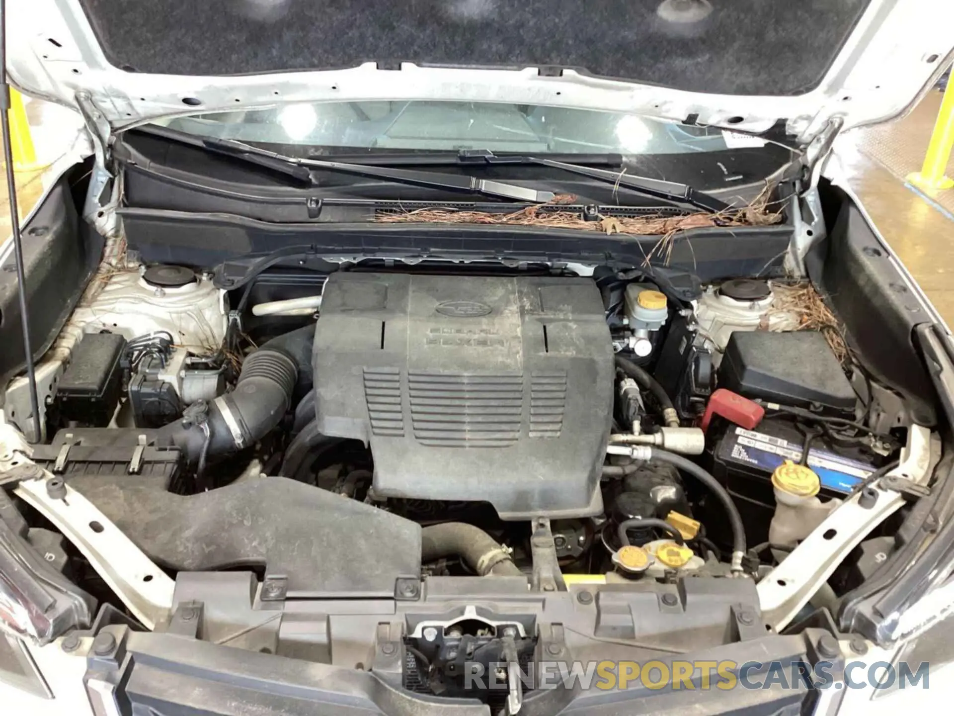 5 Photograph of a damaged car JF2SKAAC8LH510220 SUBARU FORESTER 2020