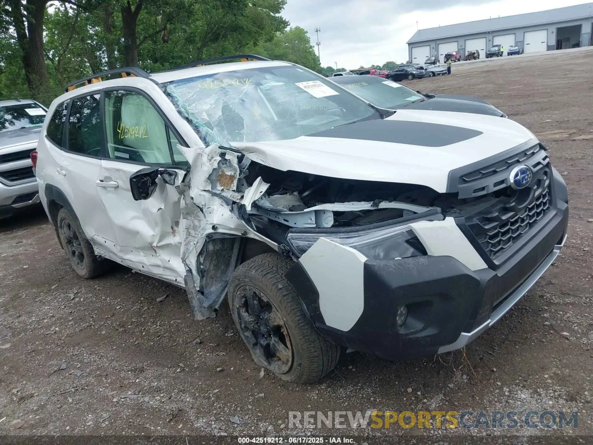 6 Photograph of a damaged car JF2SKAMCXPH531300 SUBARU FORESTER 2023