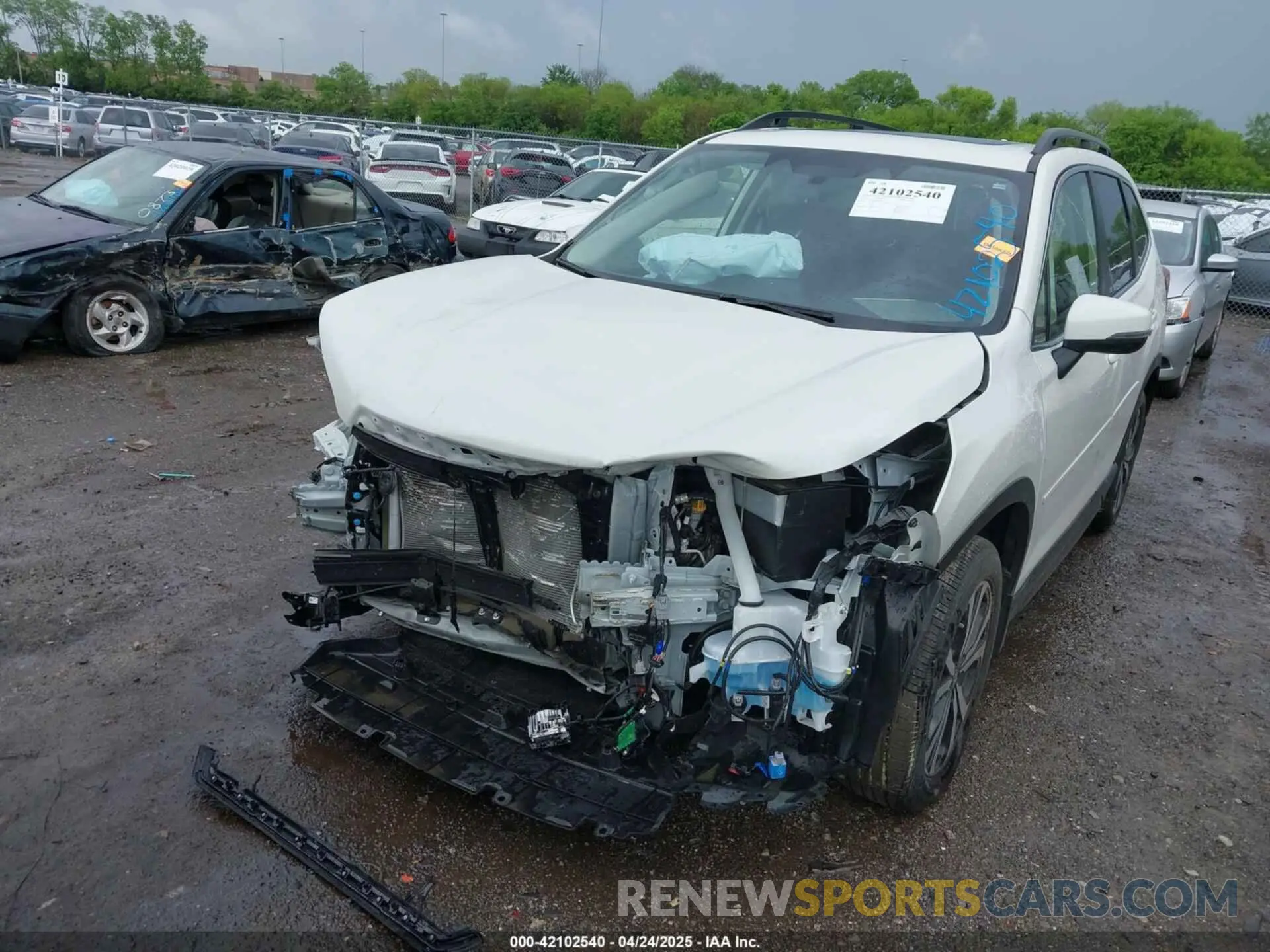 6 Photograph of a damaged car JF2SKAPC3PH534423 SUBARU FORESTER 2023