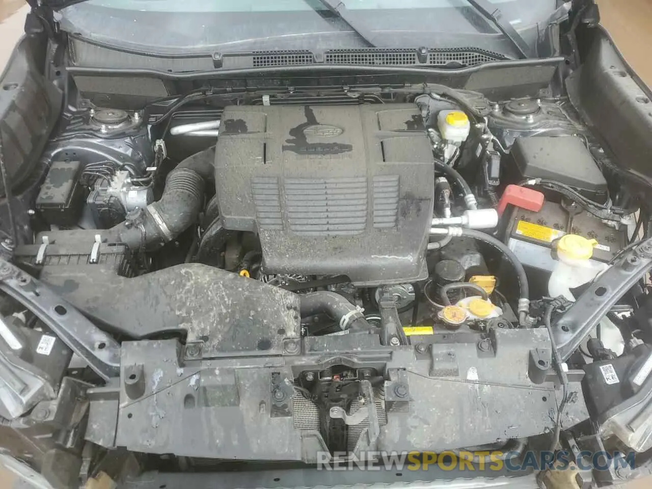 12 Photograph of a damaged car JF2SKAJC7RH525395 SUBARU FORESTER 2024