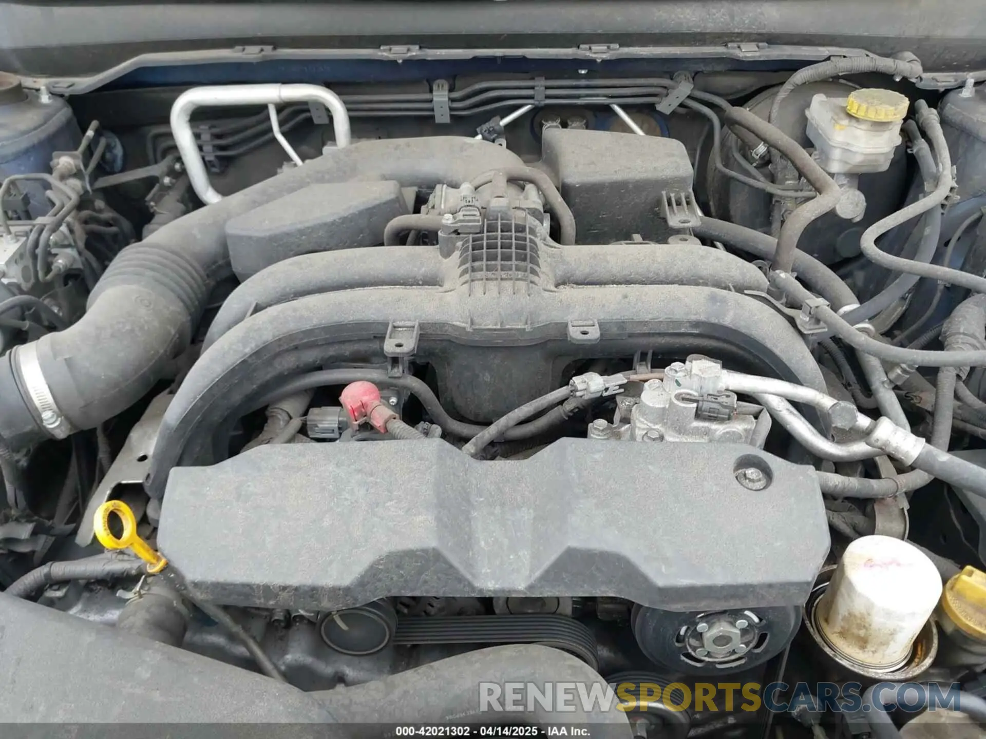 10 Photograph of a damaged car 4S3BNAF6XK3024920 SUBARU LEGACY 2019