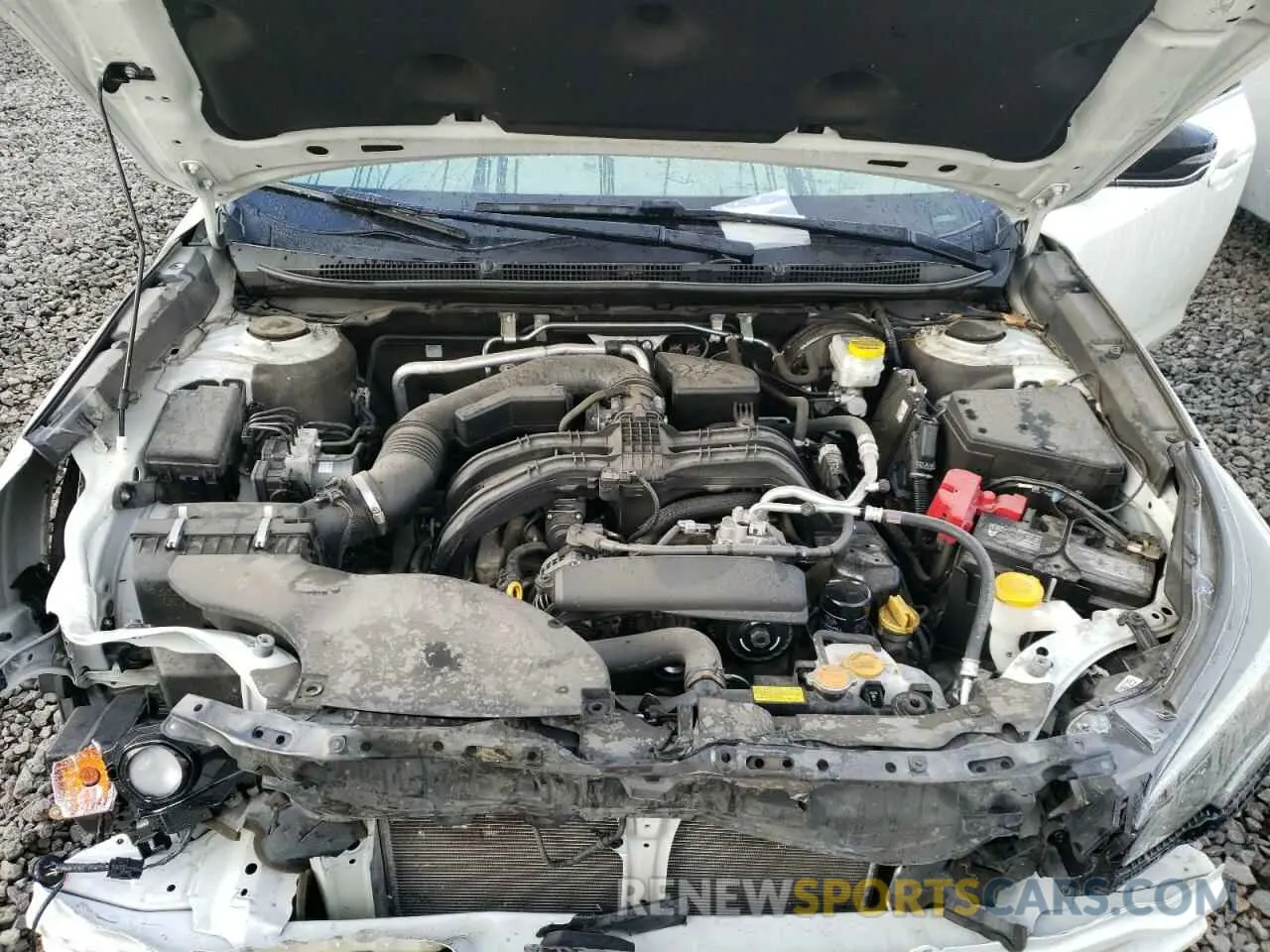 11 Photograph of a damaged car 4S3BWAG61L3023846 SUBARU LEGACY 2020
