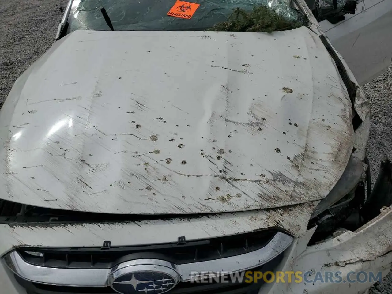 12 Photograph of a damaged car 4S3BWGP66M3004293 SUBARU LEGACY 2021
