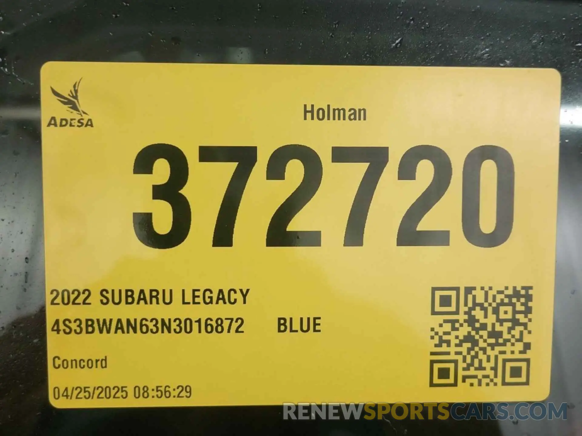 17 Photograph of a damaged car 4S3BWAN63N3016872 SUBARU LEGACY 2022