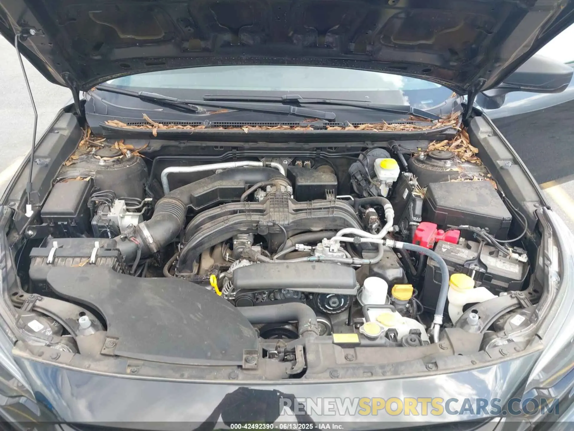 10 Photograph of a damaged car 4S3BWAB65P3015018 SUBARU LEGACY 2023