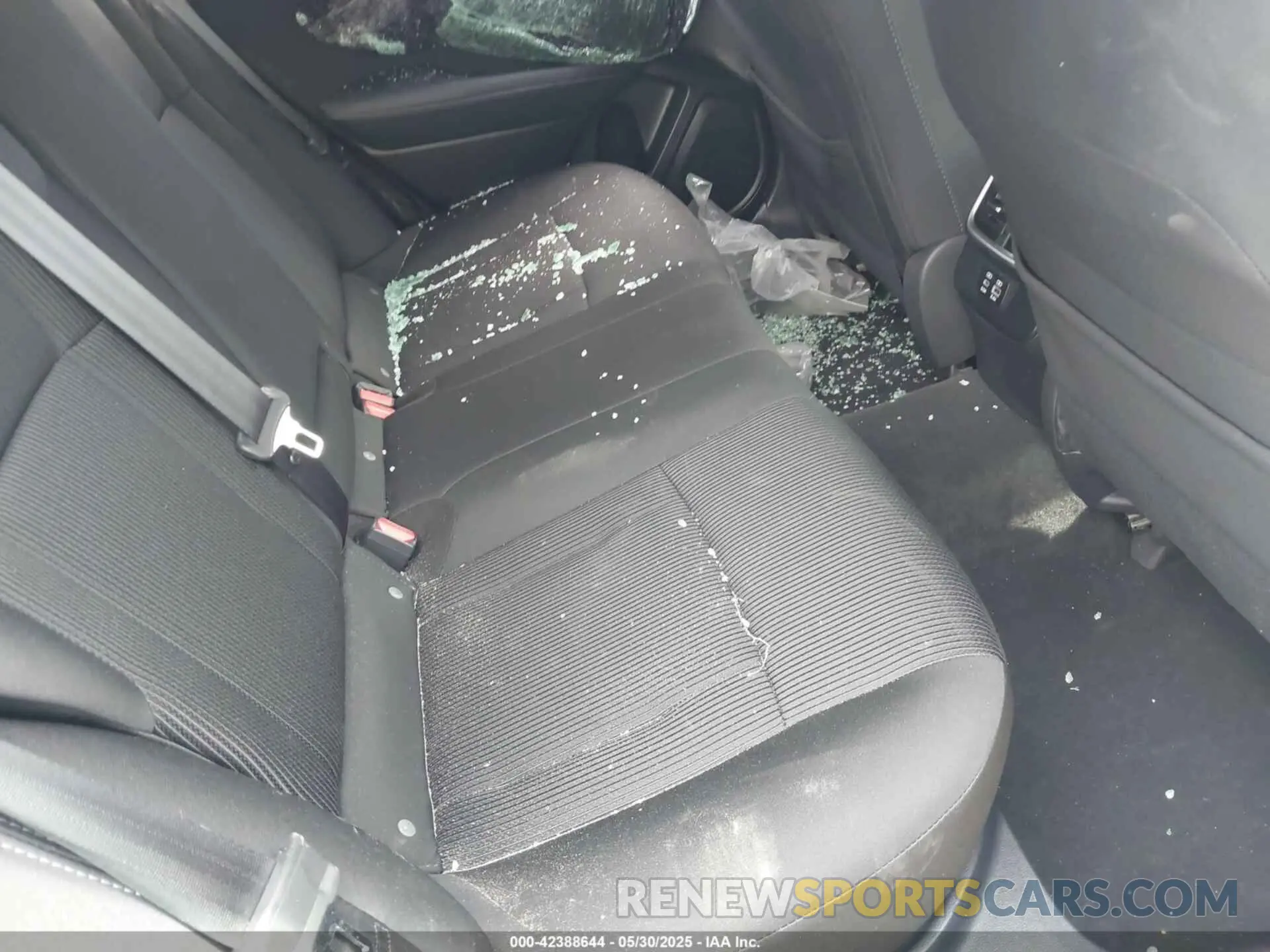 8 Photograph of a damaged car 4S3BWAD63P3005150 SUBARU LEGACY 2023