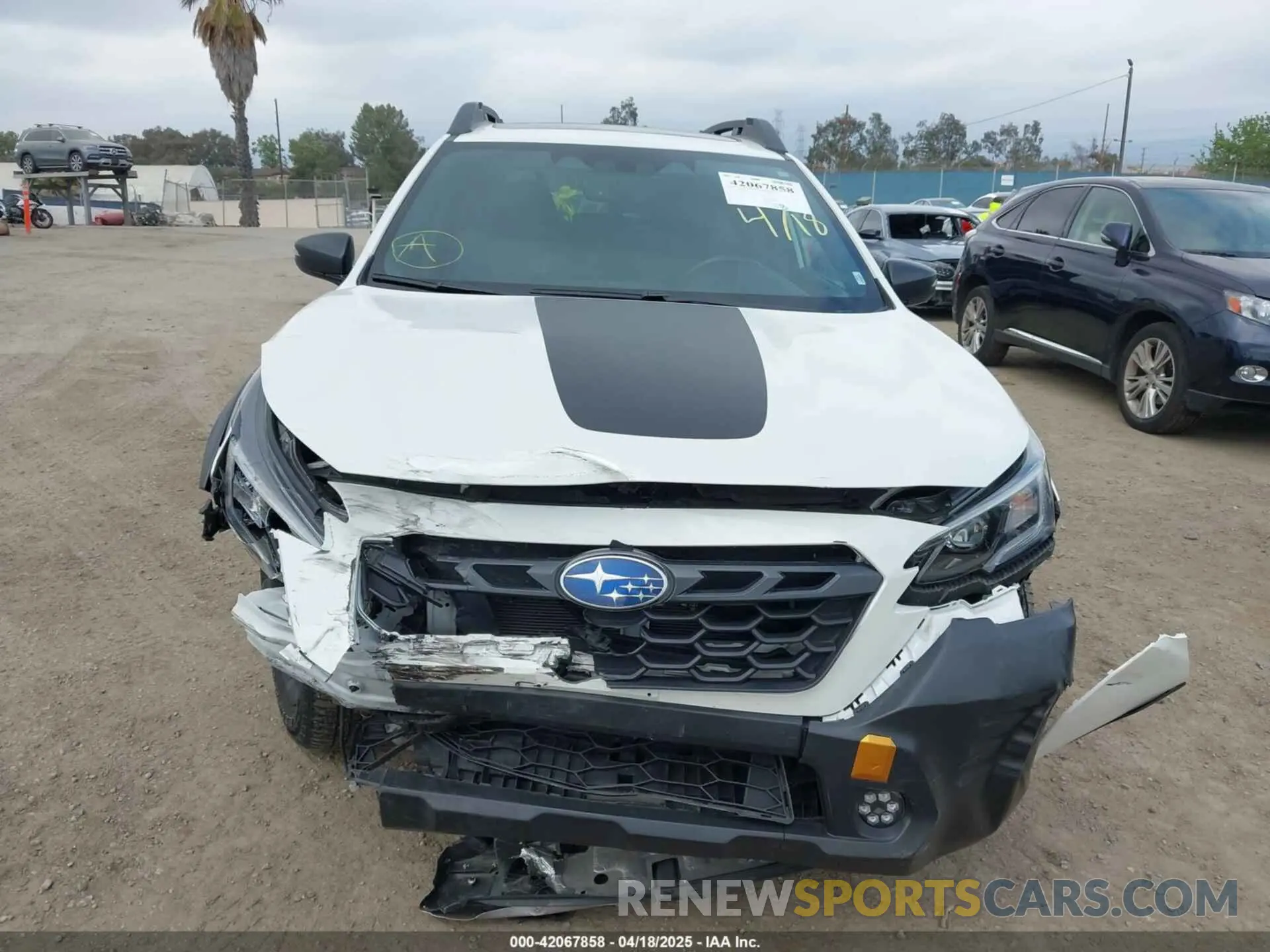 12 Photograph of a damaged car 4S4BTGUD1P3199800 SUBARU OUTBACK 2023