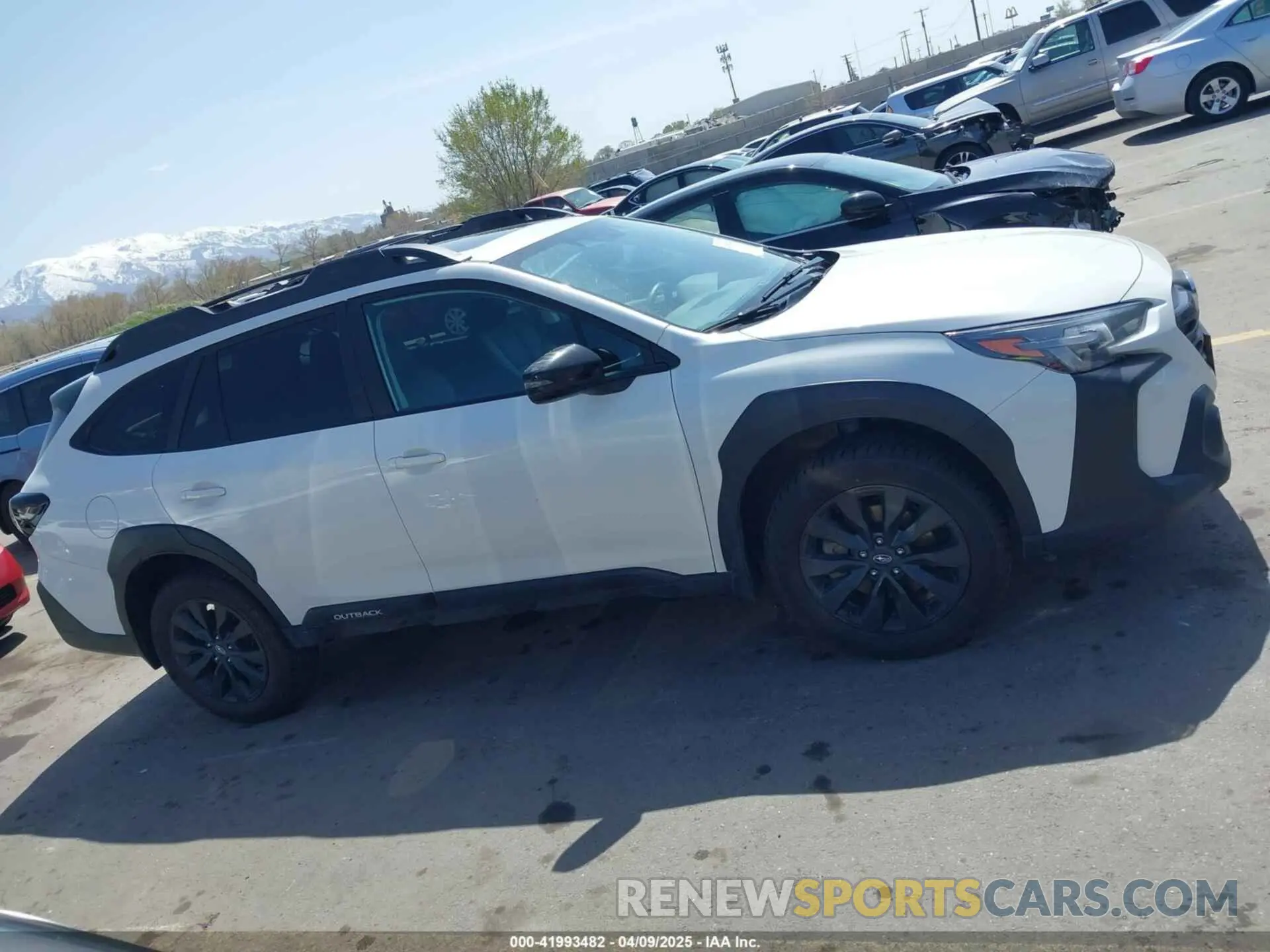12 Photograph of a damaged car 4S4BTALC9R3137649 SUBARU OUTBACK 2024