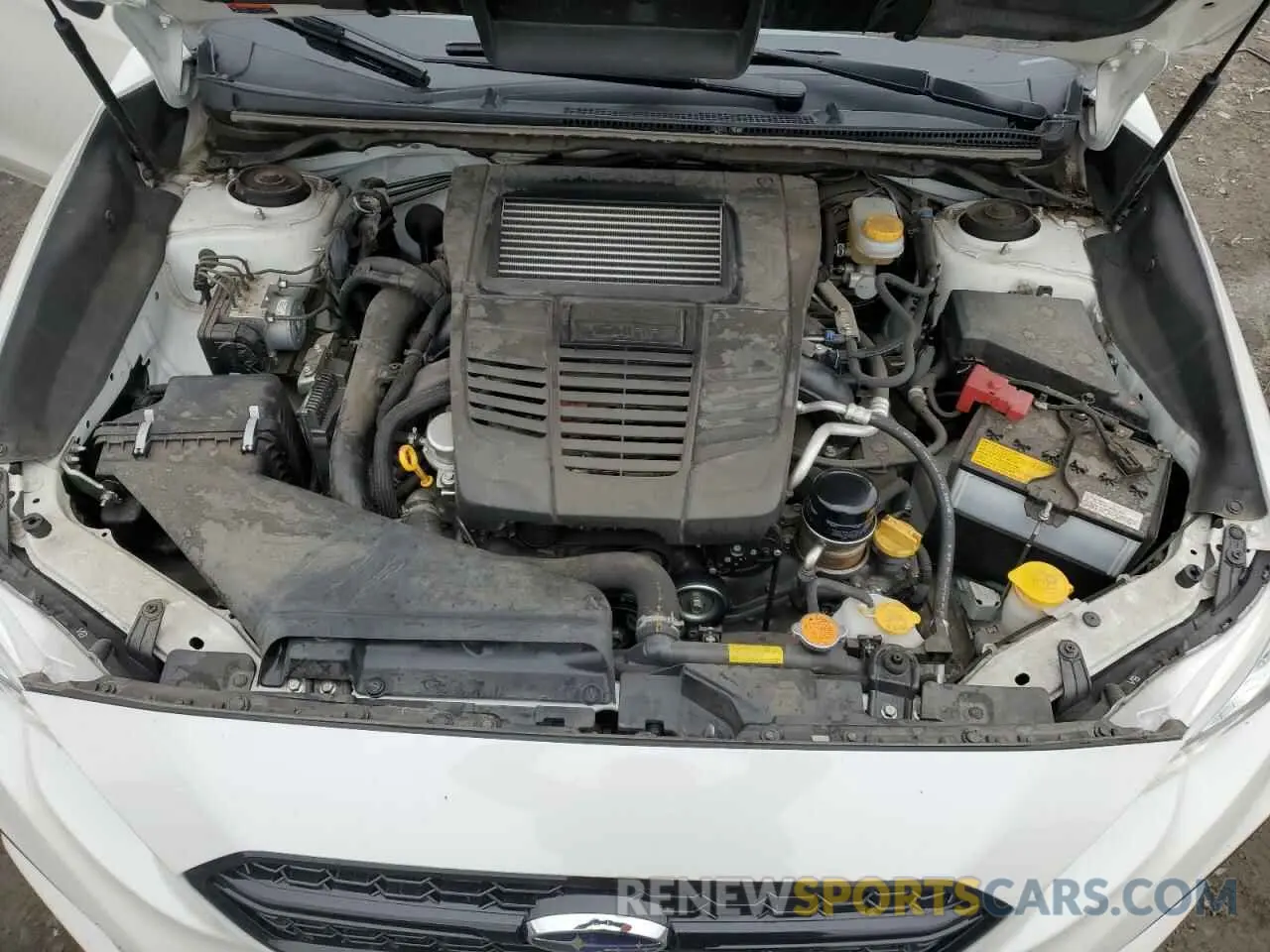 13 Photograph of a damaged car JF1VA1A62K9816305 SUBARU WRX 2019