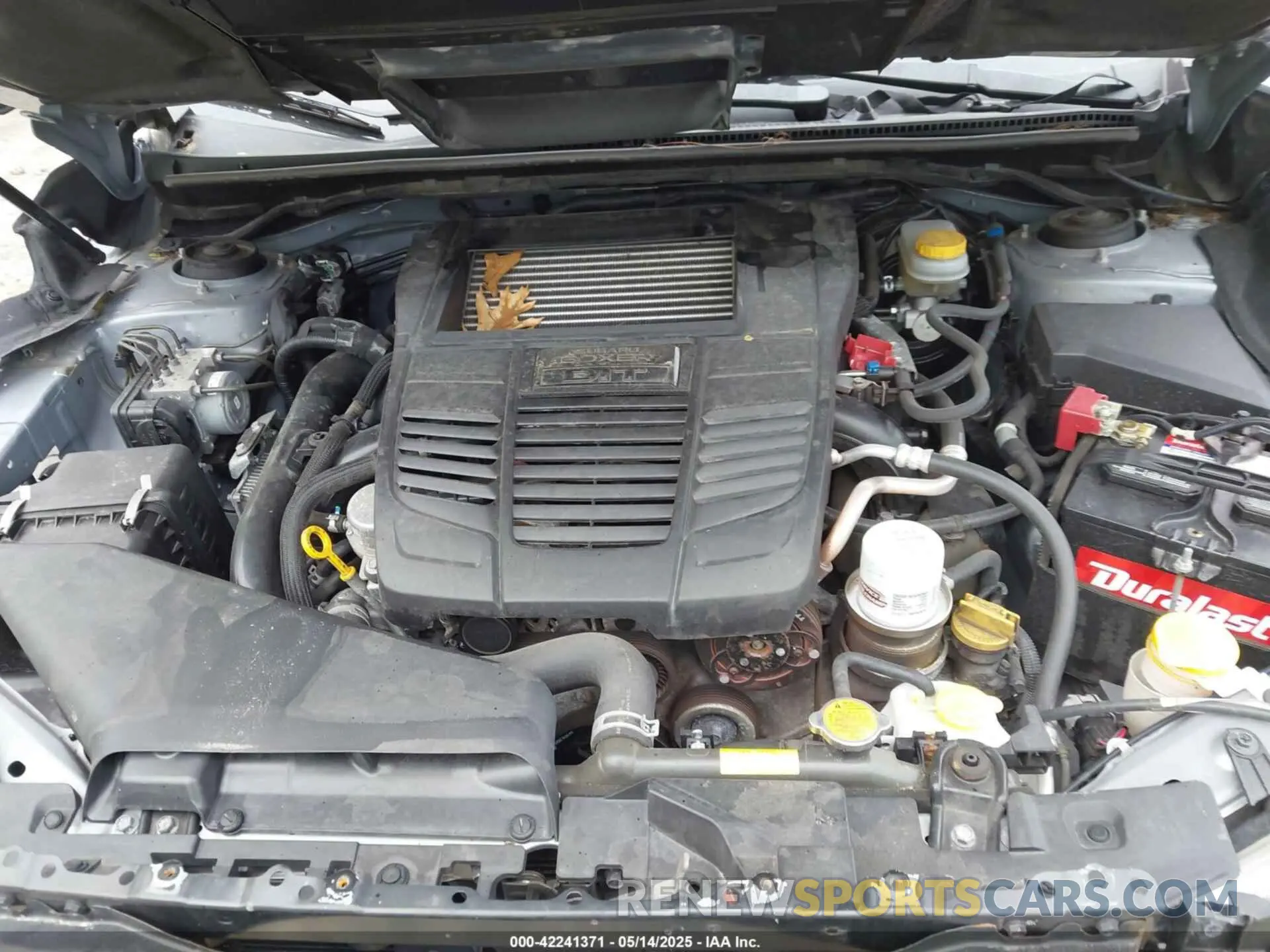 10 Photograph of a damaged car JF1VA1A65K9802124 SUBARU WRX 2019