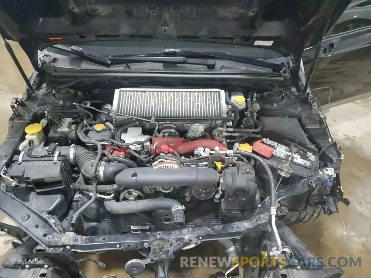 11 Photograph of a damaged car JF1VA2R61K9830030 SUBARU WRX 2019