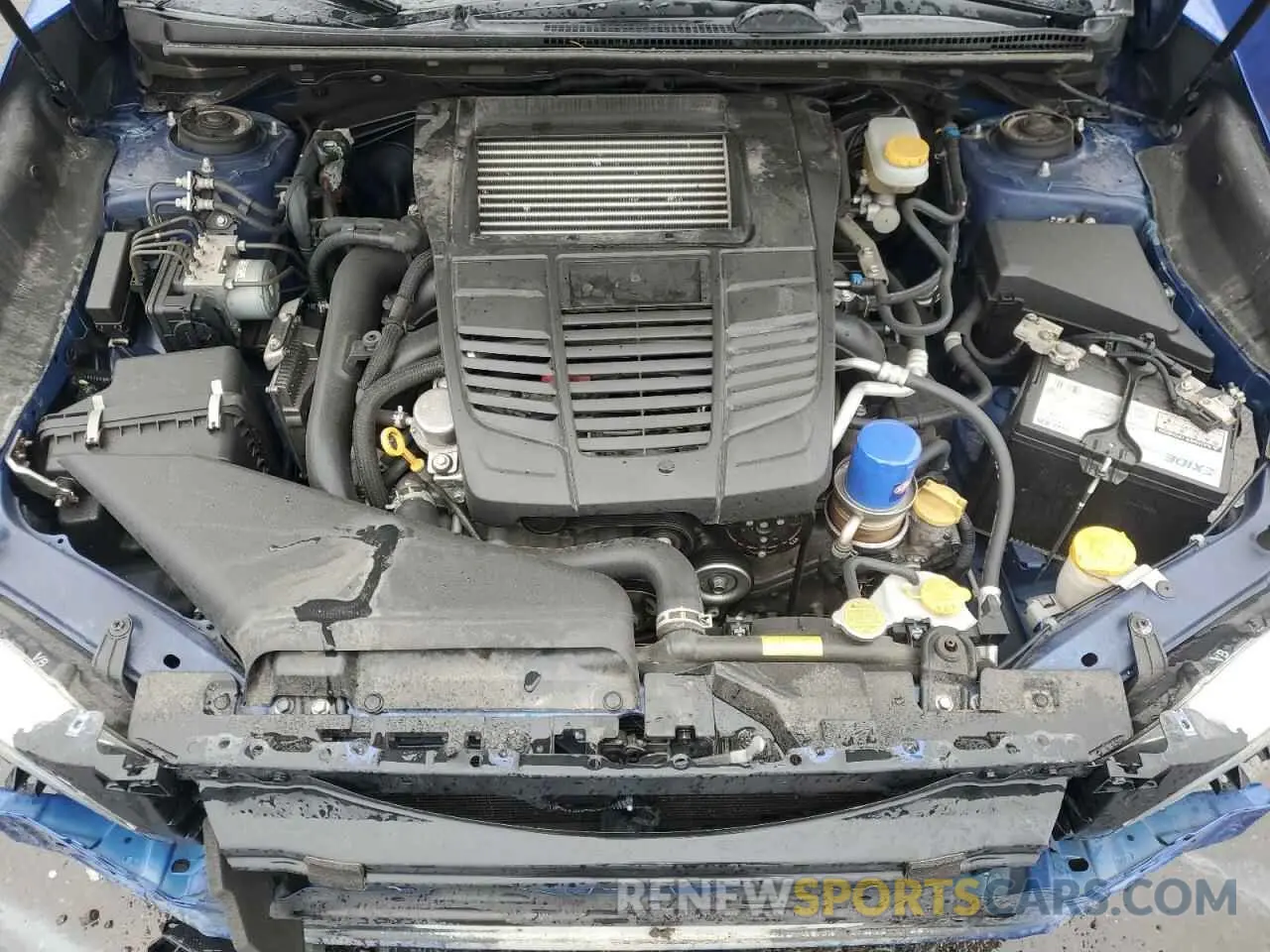 11 Photograph of a damaged car JF1VA1F69L8812946 SUBARU WRX 2020