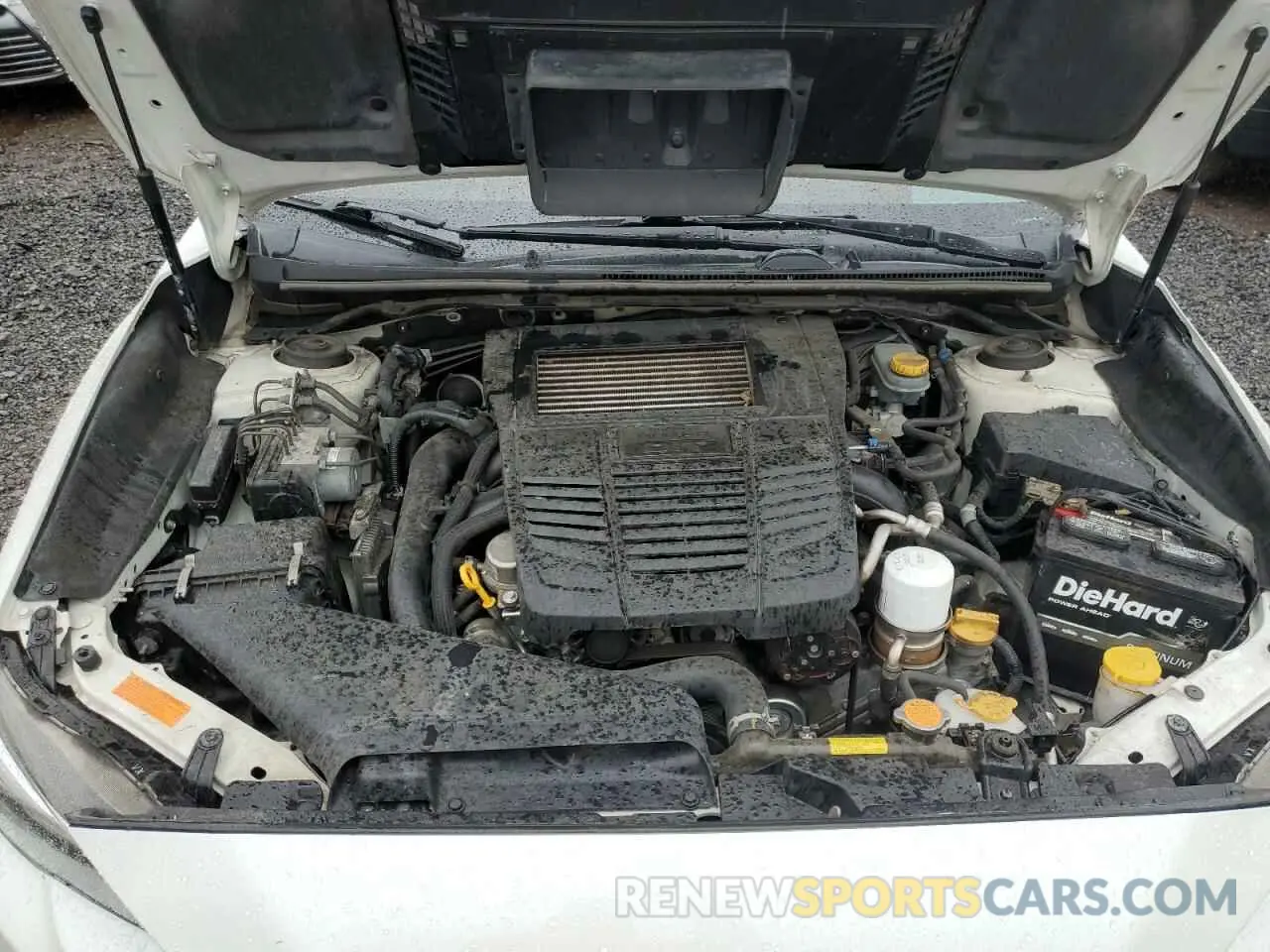 11 Photograph of a damaged car JF1VA1P61L8801258 SUBARU WRX 2020