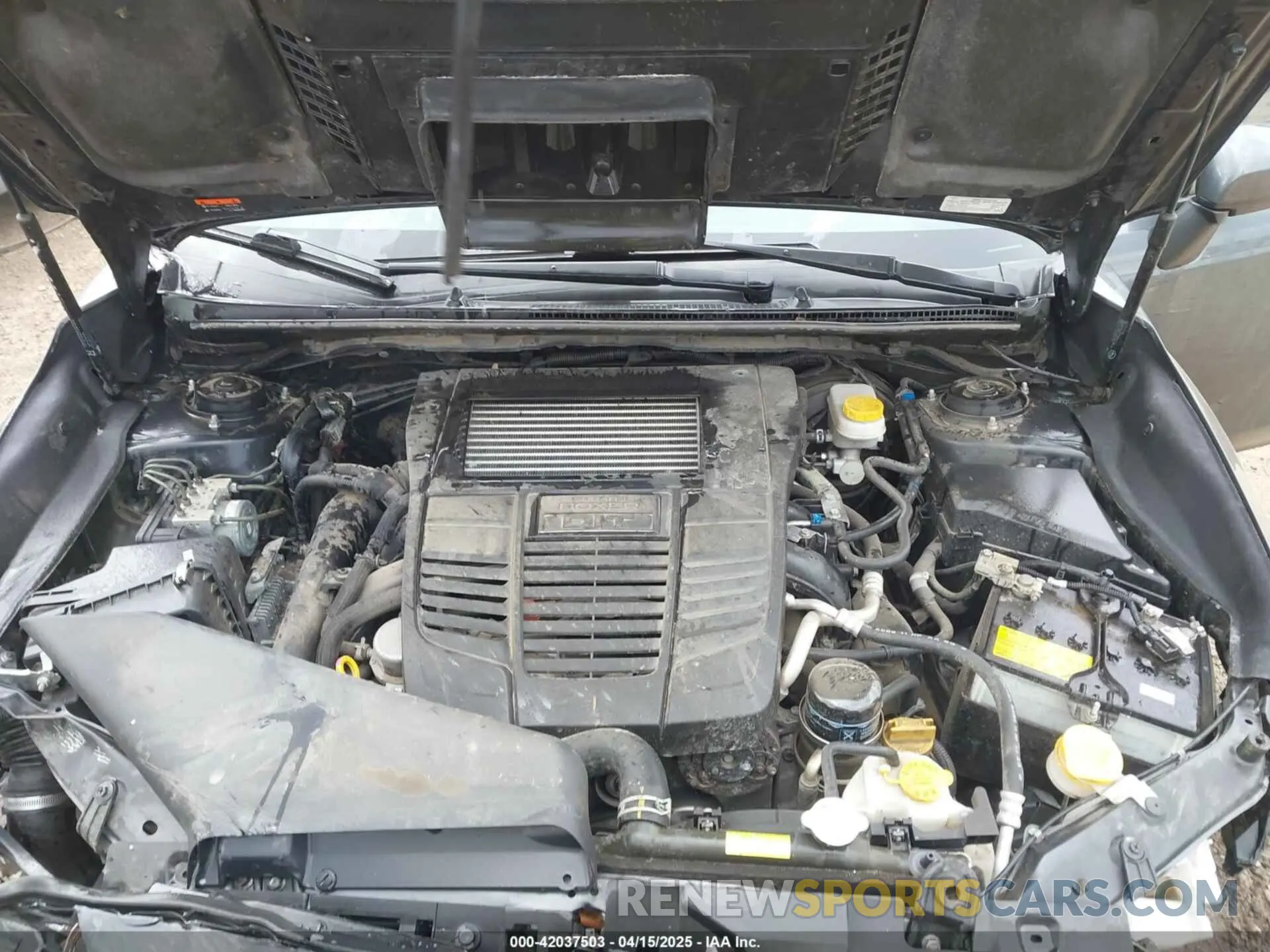 10 Photograph of a damaged car JF1VA1C60M9807716 SUBARU WRX 2021
