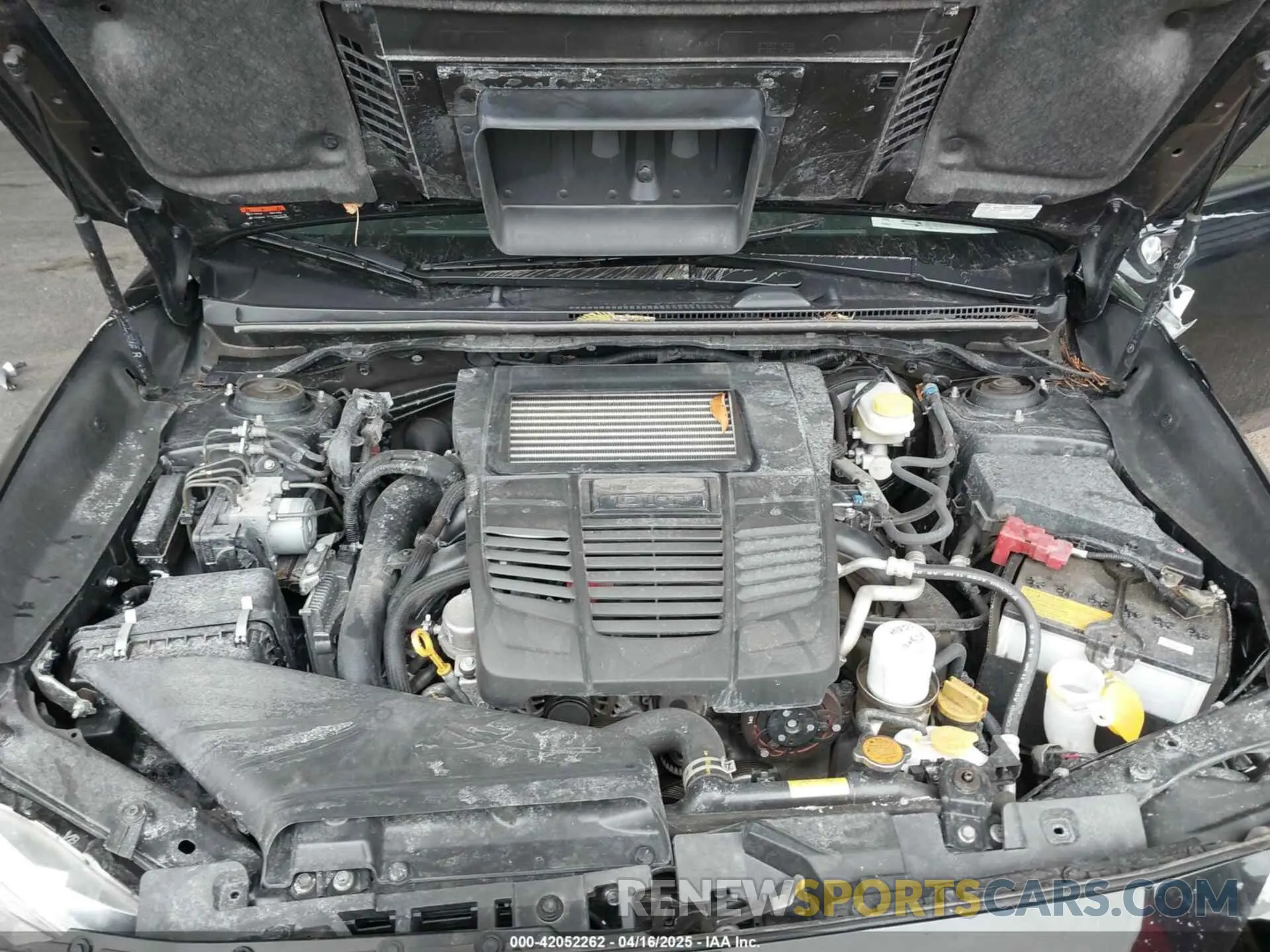 10 Photograph of a damaged car JF1VA1F67M8812218 SUBARU WRX 2021