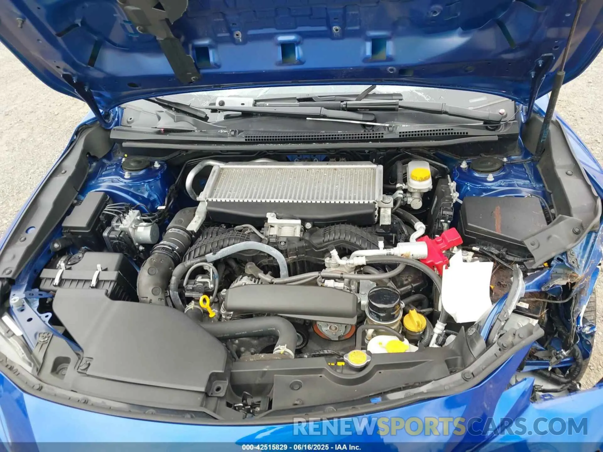 10 Photograph of a damaged car JF1VBAF69N9011864 SUBARU WRX 2022