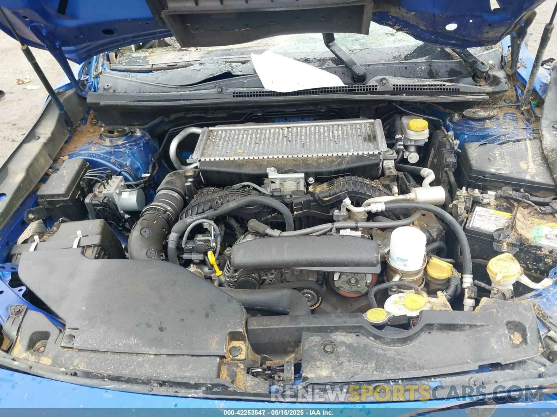 10 Photograph of a damaged car JF1VBAF69N9015459 SUBARU WRX 2022