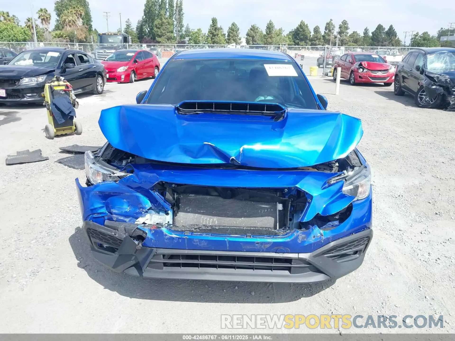 12 Photograph of a damaged car JF1VBAF64P9815203 SUBARU WRX 2023