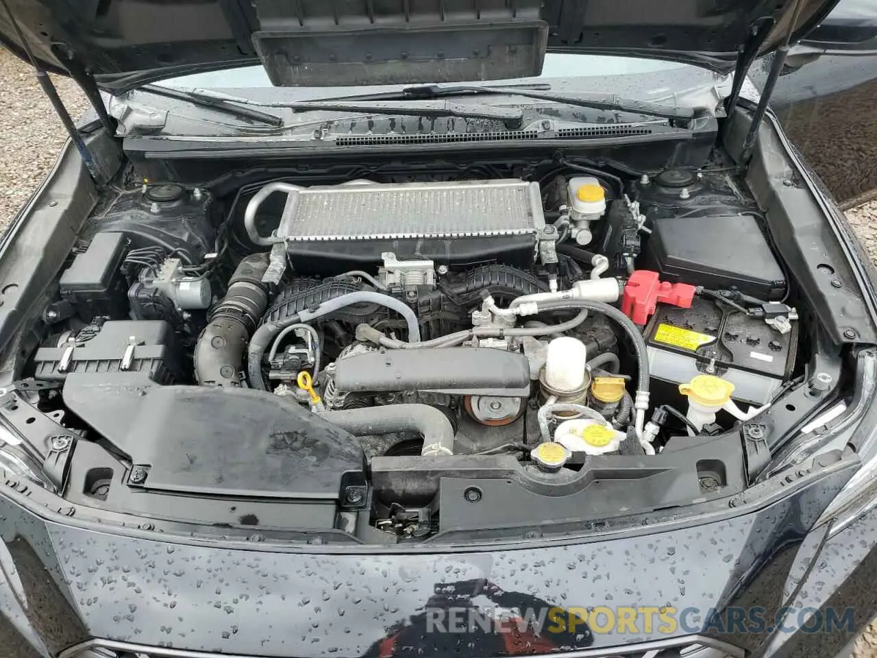 11 Photograph of a damaged car JF1VBAL65P9800083 SUBARU WRX 2023