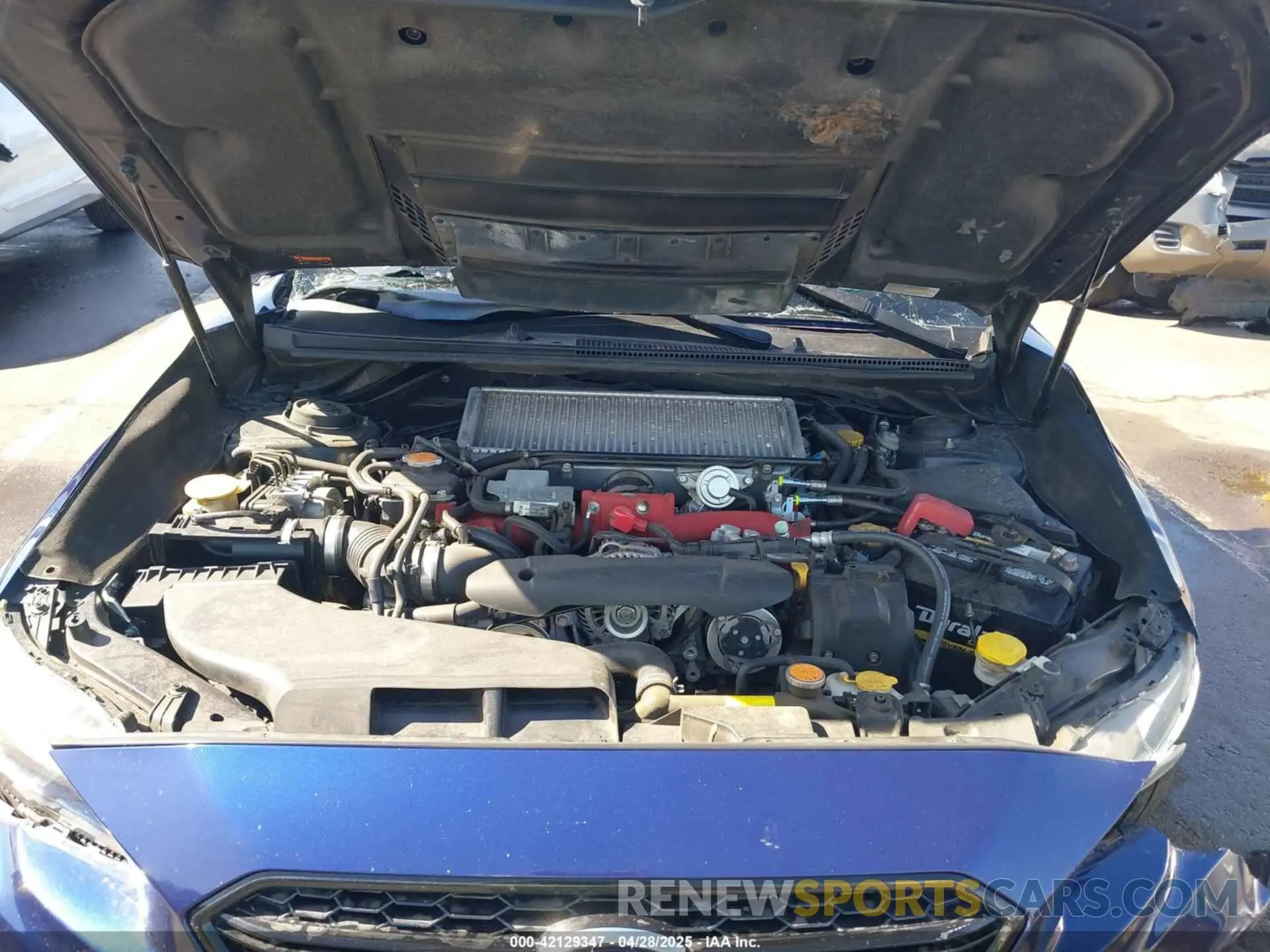 10 Photograph of a damaged car JF1VA2S63K9811084 SUBARU WRX STI 2019