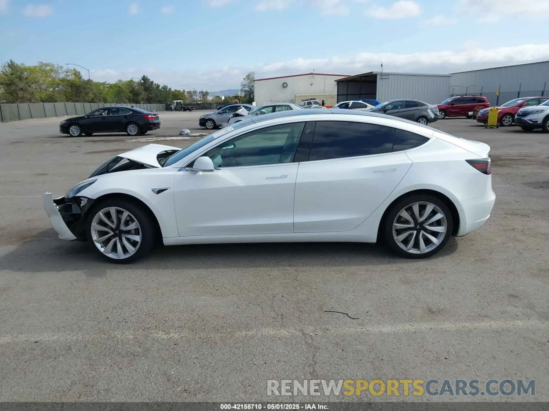 14 Photograph of a damaged car 5YJ3E1EA0KF419427 TESLA MODEL 3 2019