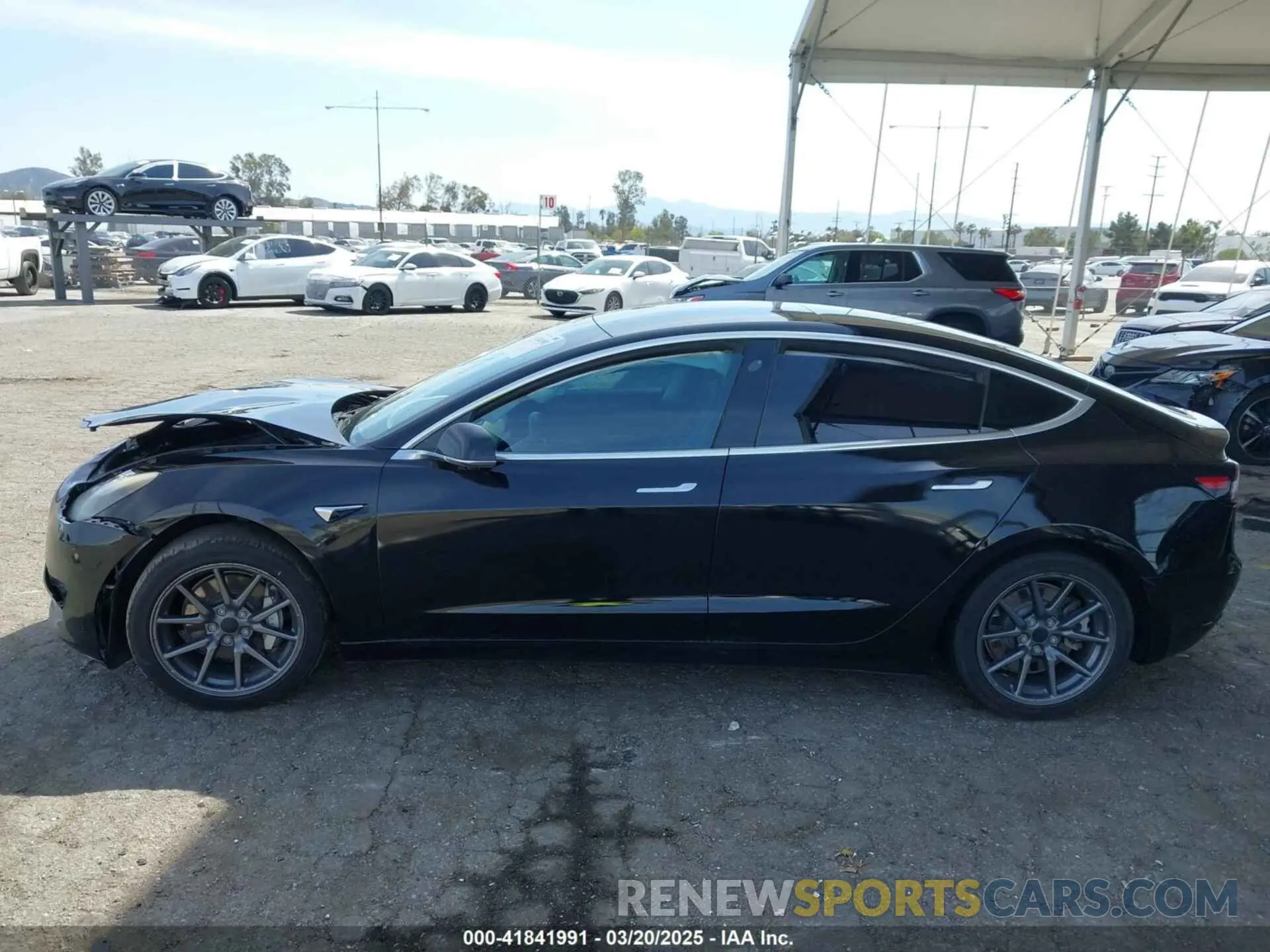 13 Photograph of a damaged car 5YJ3E1EA1KF410297 TESLA MODEL 3 2019