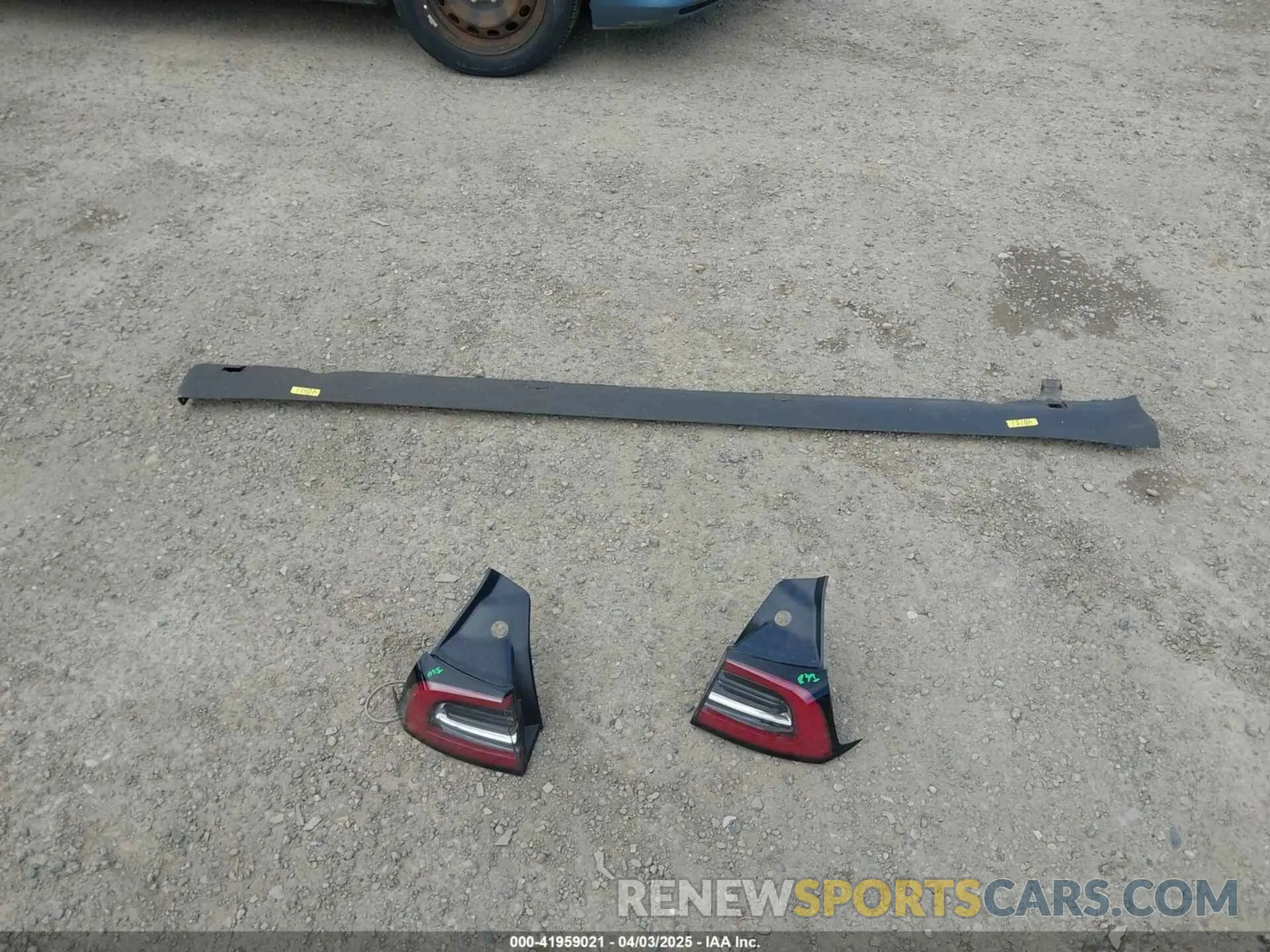 12 Photograph of a damaged car 5YJ3E1EA2KF437900 TESLA MODEL 3 2019