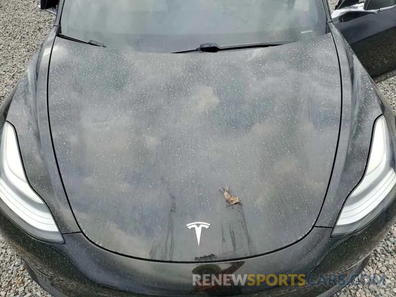 11 Photograph of a damaged car 5YJ3E1EA2KF445219 TESLA MODEL 3 2019