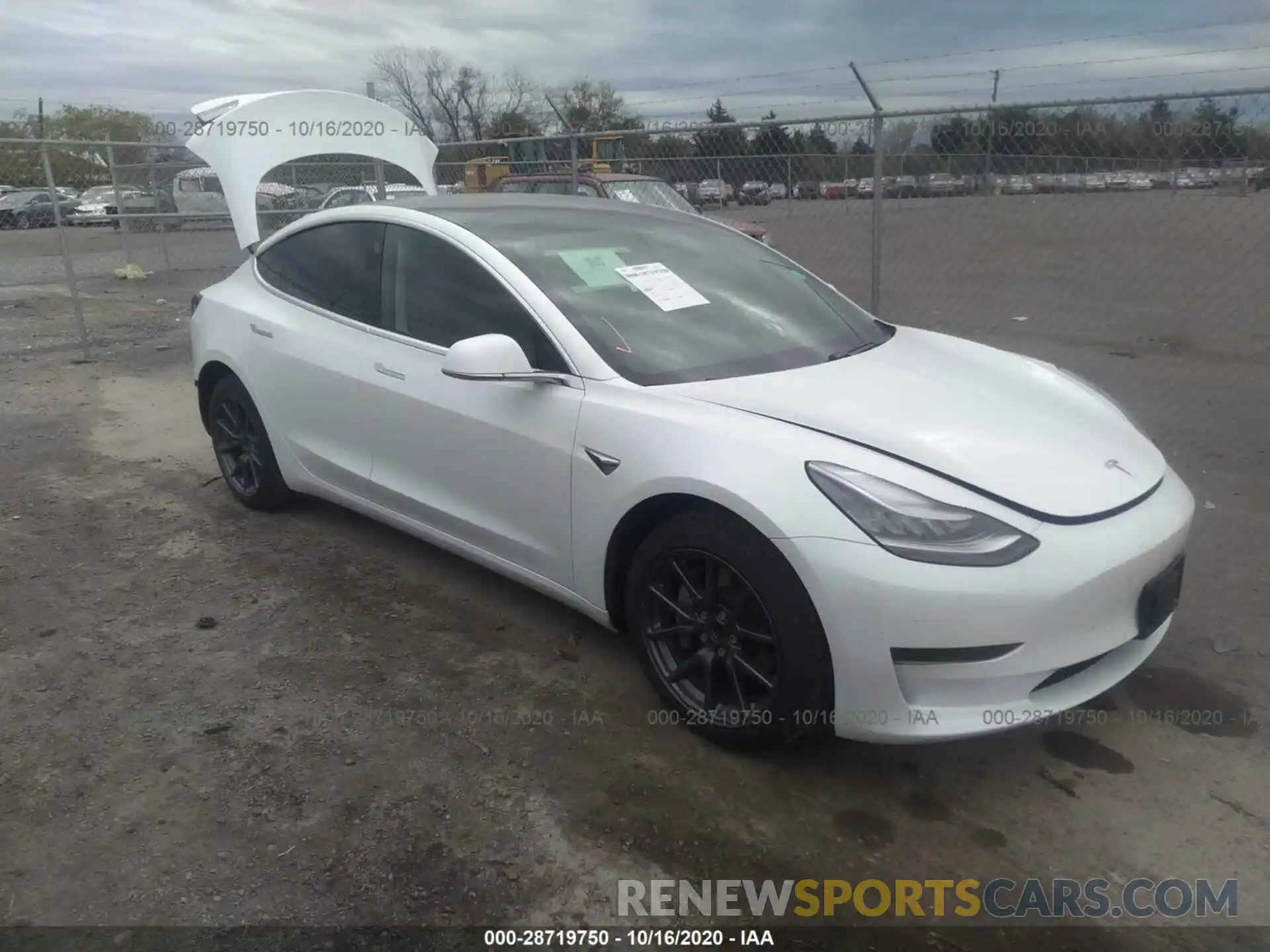 1 Photograph of a damaged car 5YJ3E1EA2KF484439 TESLA MODEL 3 2019