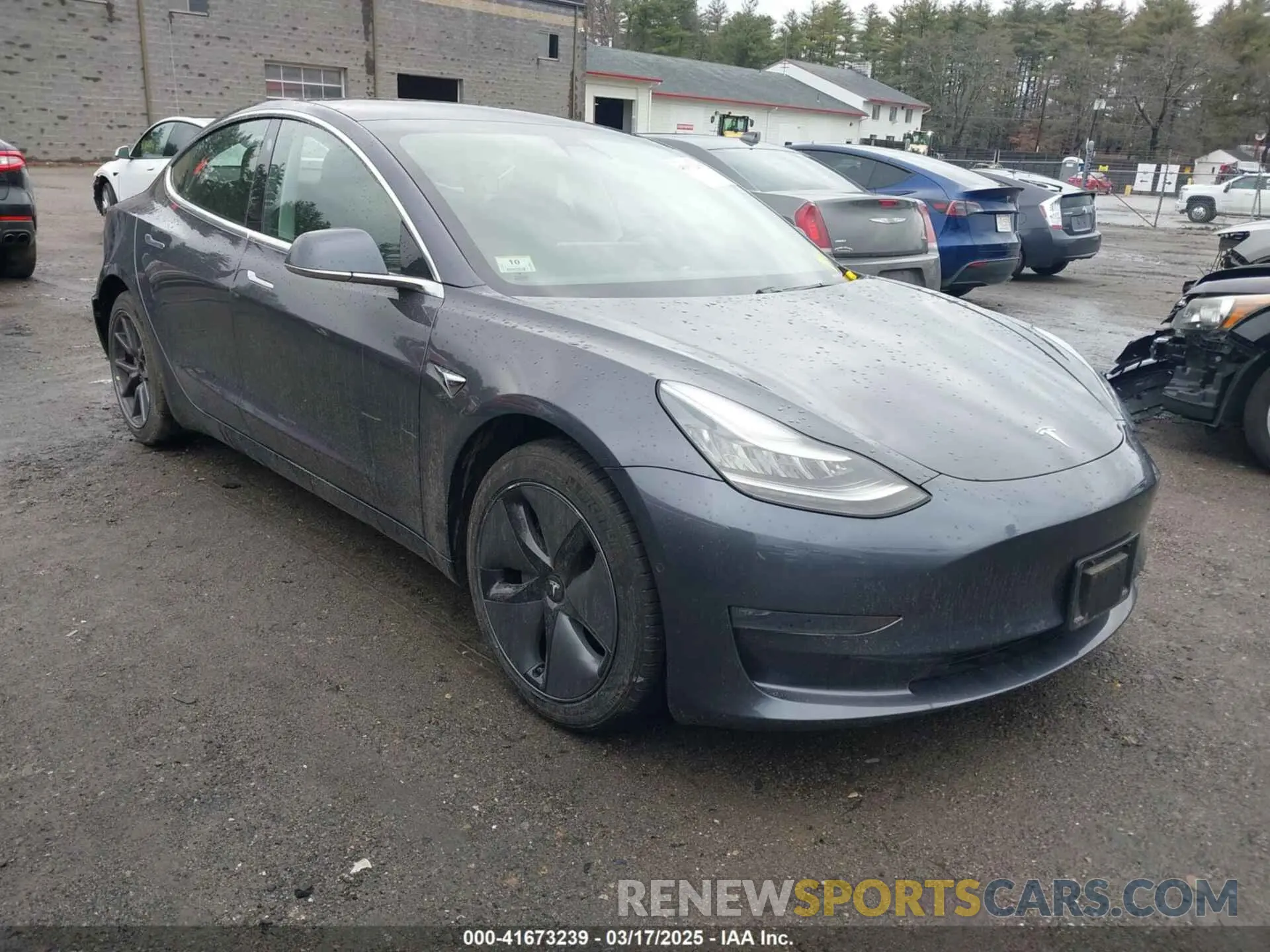 1 Photograph of a damaged car 5YJ3E1EA3KF307415 TESLA MODEL 3 2019