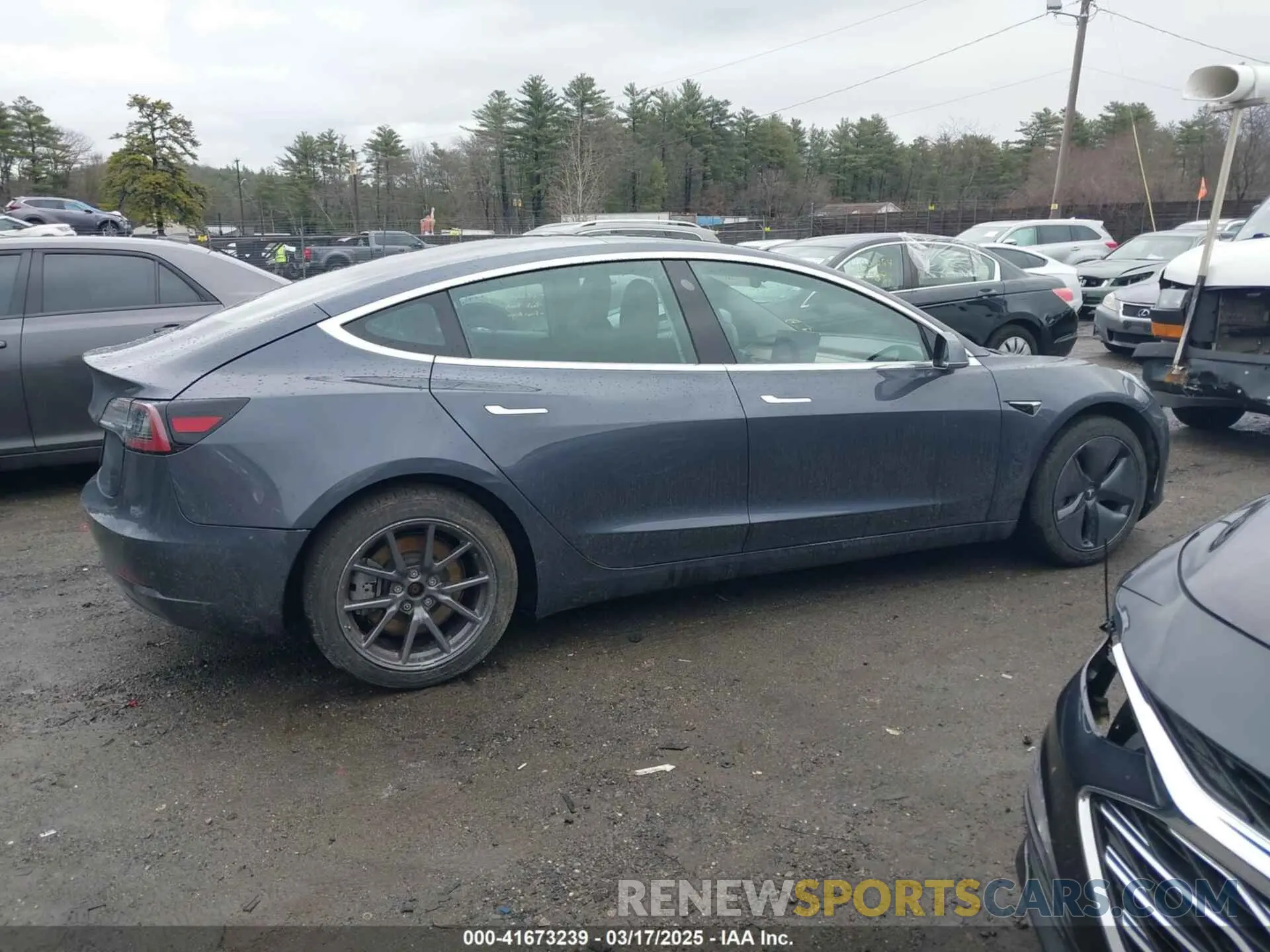 13 Photograph of a damaged car 5YJ3E1EA3KF307415 TESLA MODEL 3 2019