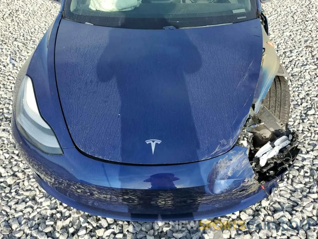 12 Photograph of a damaged car 5YJ3E1EA3KF332430 TESLA MODEL 3 2019