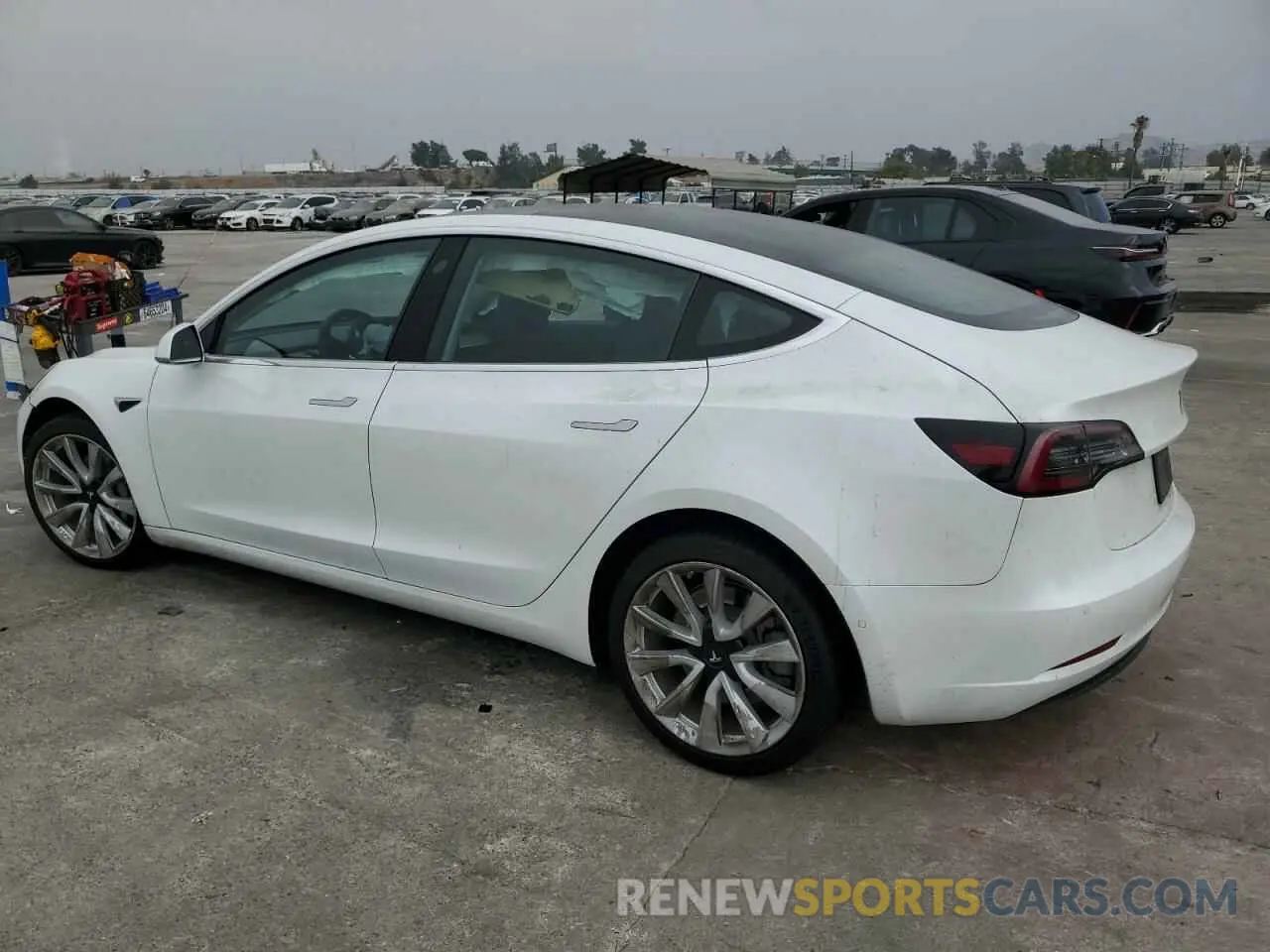 2 Photograph of a damaged car 5YJ3E1EA3KF431233 TESLA MODEL 3 2019