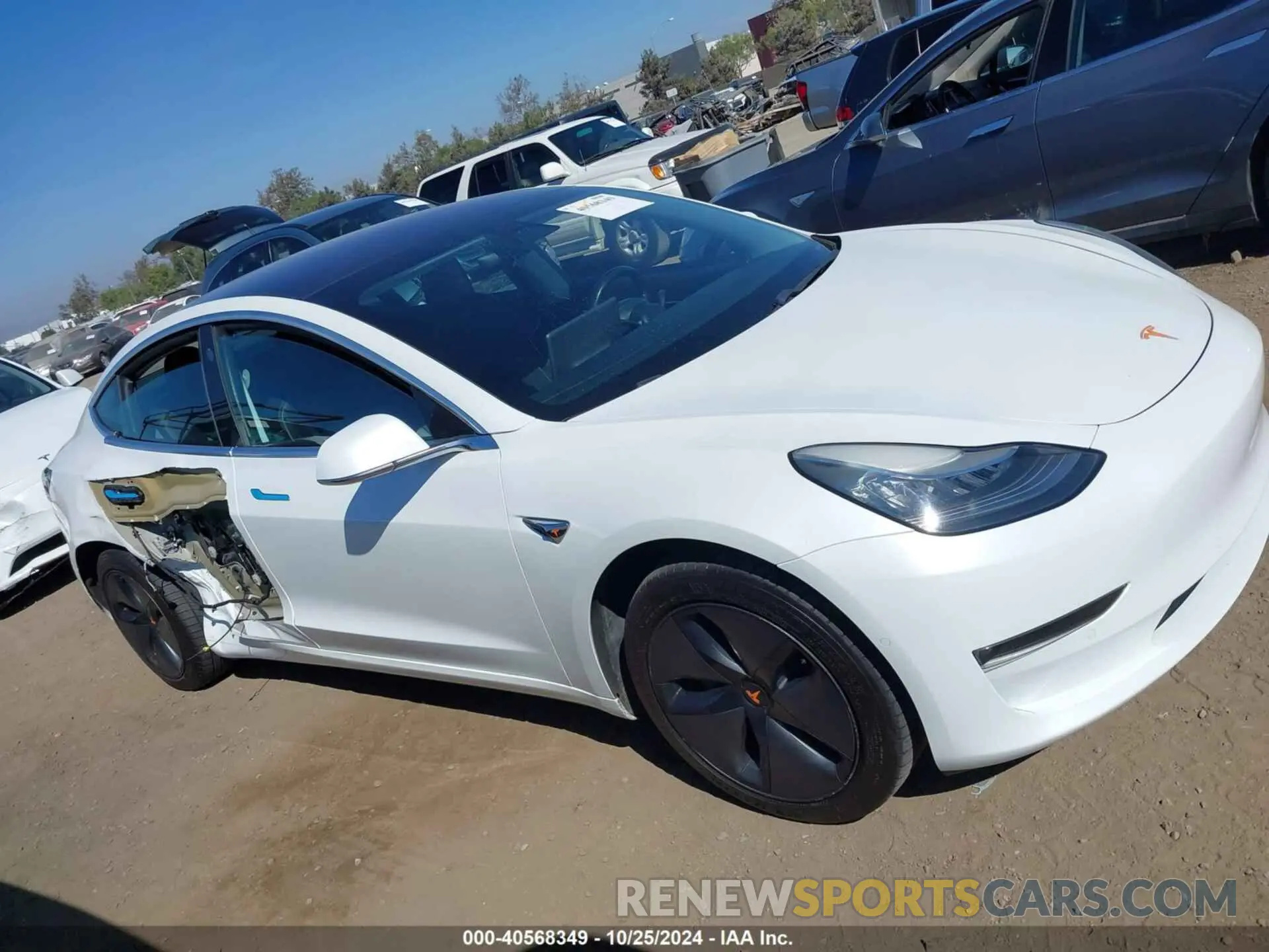 12 Photograph of a damaged car 5YJ3E1EA5KF314088 TESLA MODEL 3 2019