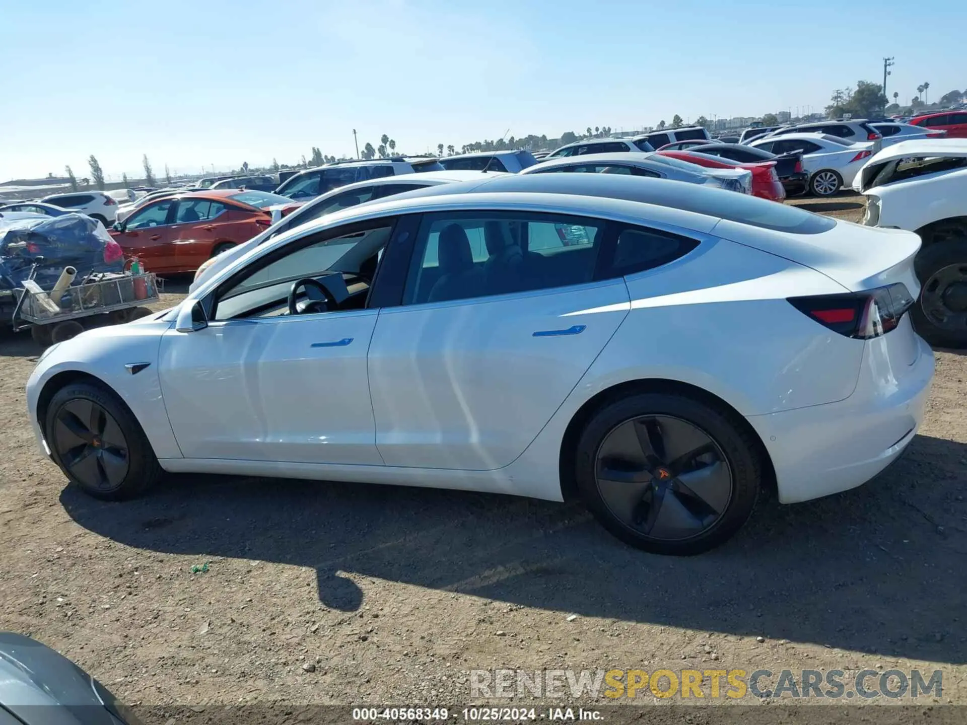 13 Photograph of a damaged car 5YJ3E1EA5KF314088 TESLA MODEL 3 2019