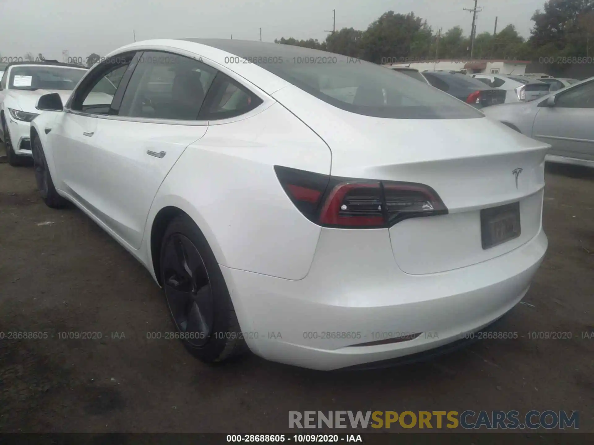 3 Photograph of a damaged car 5YJ3E1EA6KF310289 TESLA MODEL 3 2019