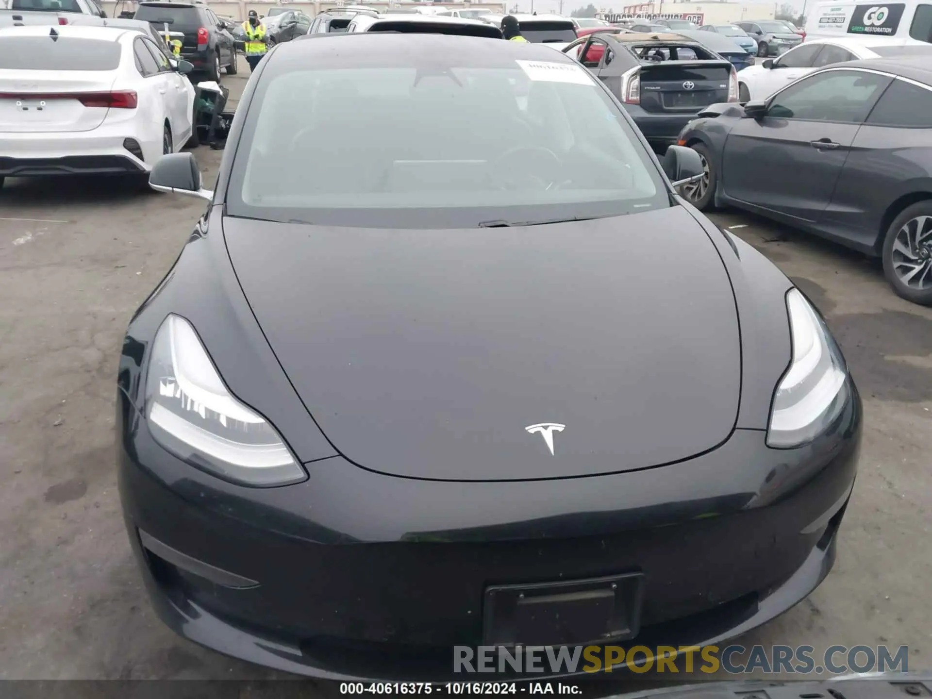 12 Photograph of a damaged car 5YJ3E1EA7KF395482 TESLA MODEL 3 2019