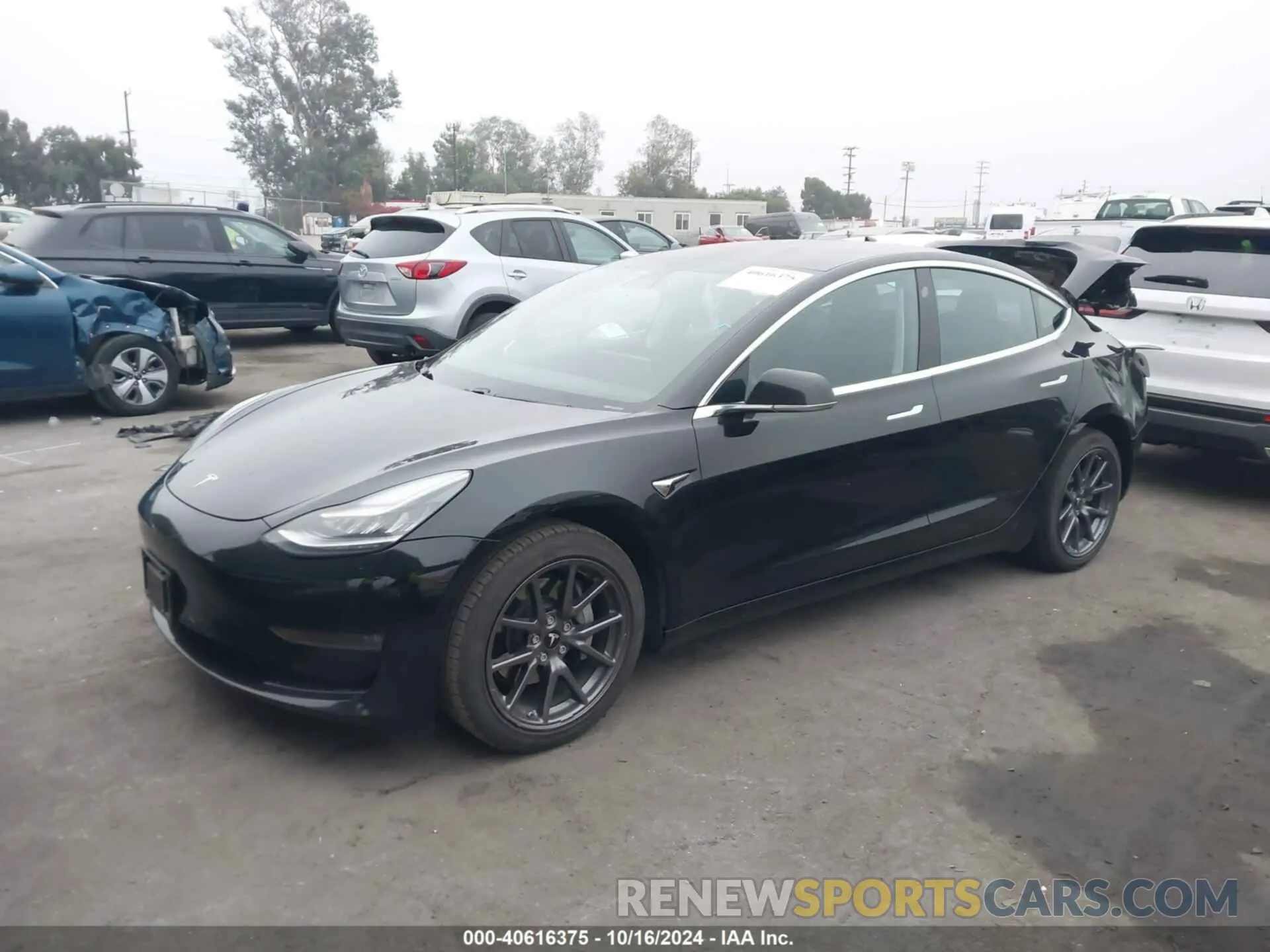 2 Photograph of a damaged car 5YJ3E1EA7KF395482 TESLA MODEL 3 2019