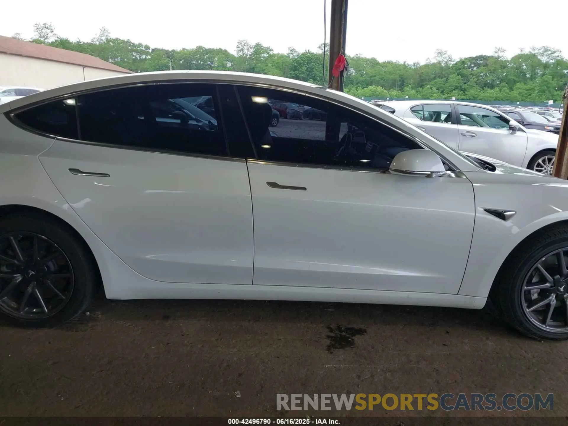 12 Photograph of a damaged car 5YJ3E1EA9KF300243 TESLA MODEL 3 2019