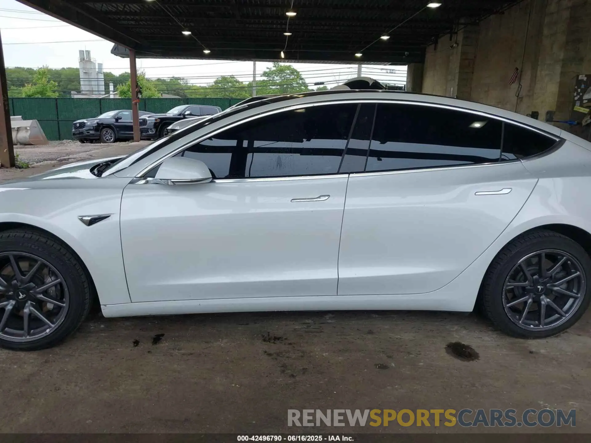 13 Photograph of a damaged car 5YJ3E1EA9KF300243 TESLA MODEL 3 2019