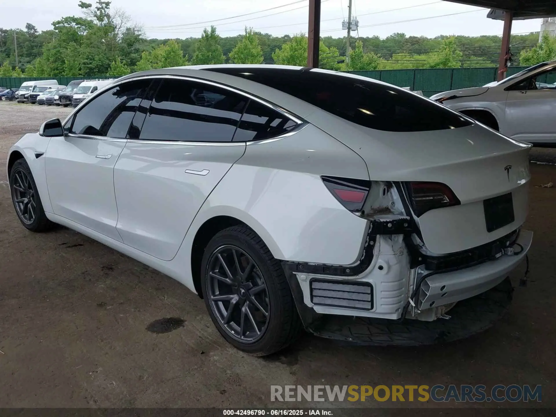 6 Photograph of a damaged car 5YJ3E1EA9KF300243 TESLA MODEL 3 2019
